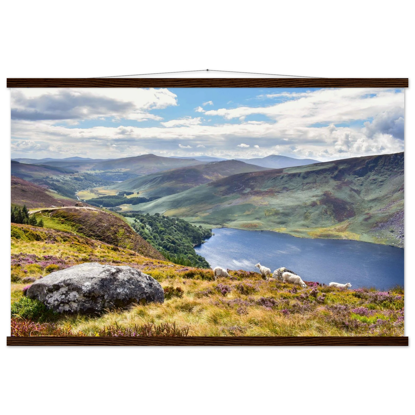 d2d85623-1bd2-4dc0-898e-316820072bd8