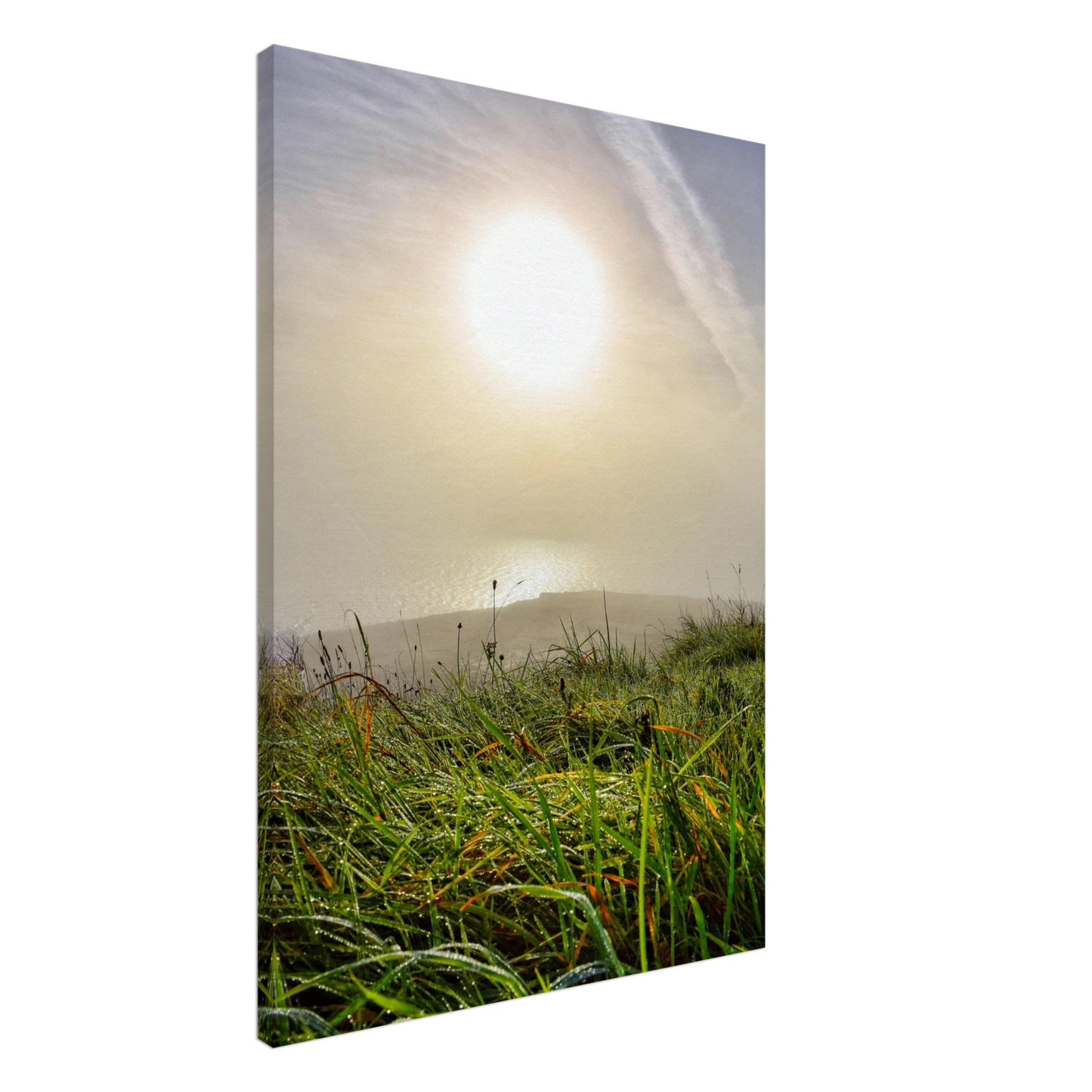 d2e30adf-d9e9-47c0-85e5-3c2754ebea37