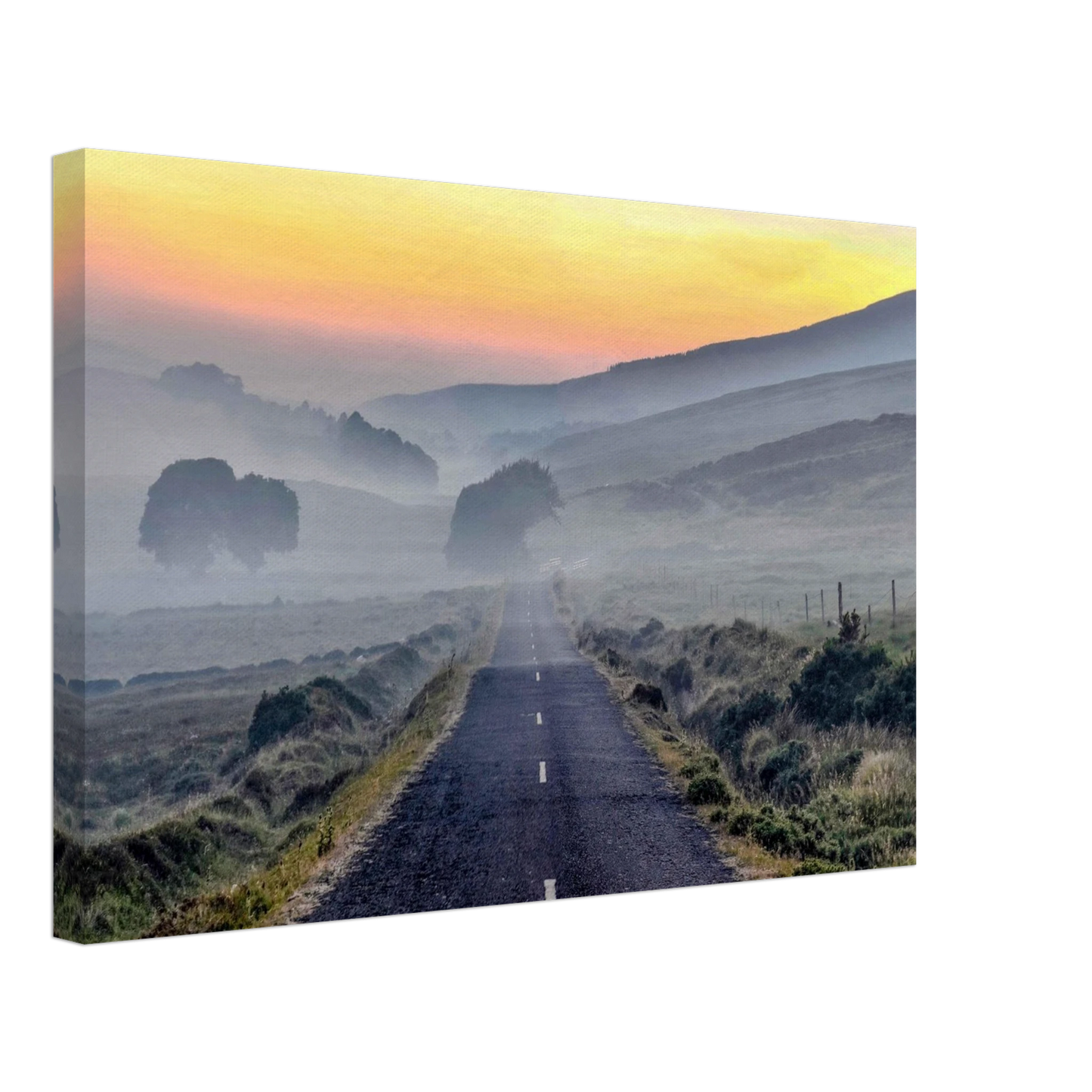 d306d42a-b5c9-46be-a2a3-cc8636d2ed8f