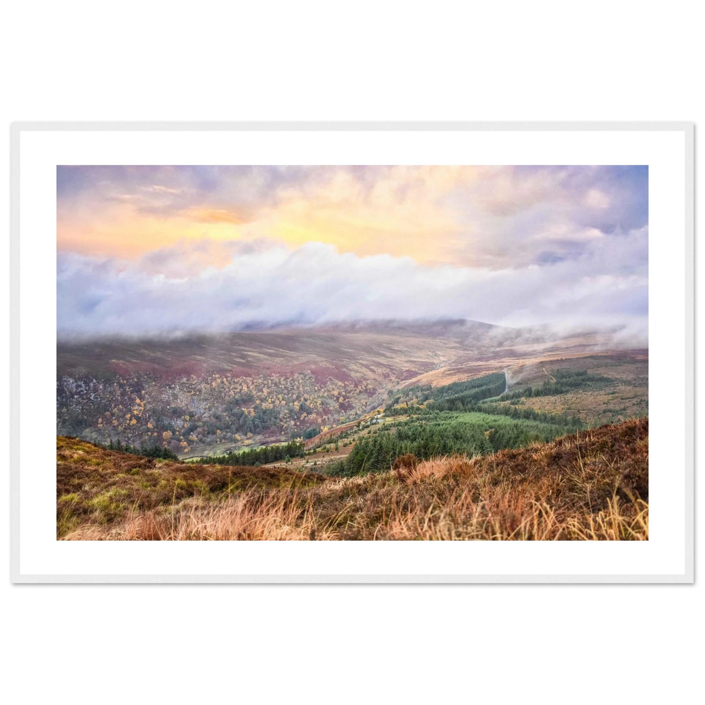 d3767e50-9a26-40ad-9236-b1cbd717fd10