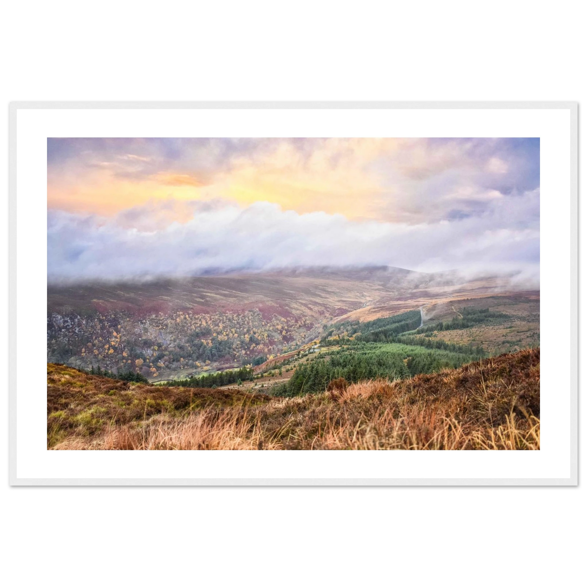 d3767e50-9a26-40ad-9236-b1cbd717fd10