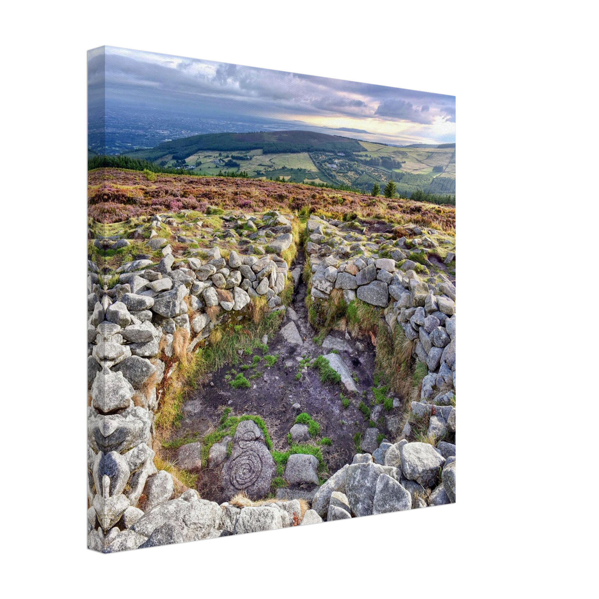 d3774251-bd71-4e88-9e19-d1001d404e63