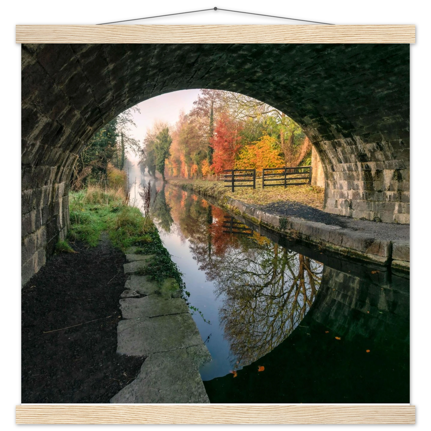 d3b7cc6b-3c90-4dd9-adde-2d802914b742