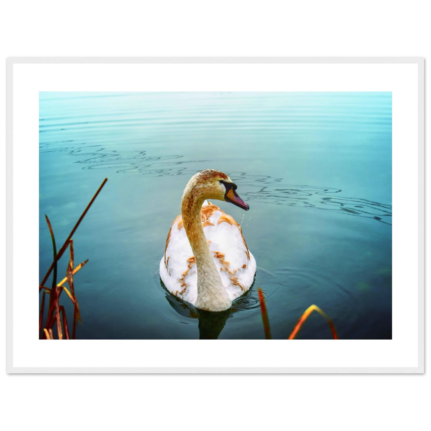 d41fcc8c-665f-4643-9bd5-40cc7ff4f5d3