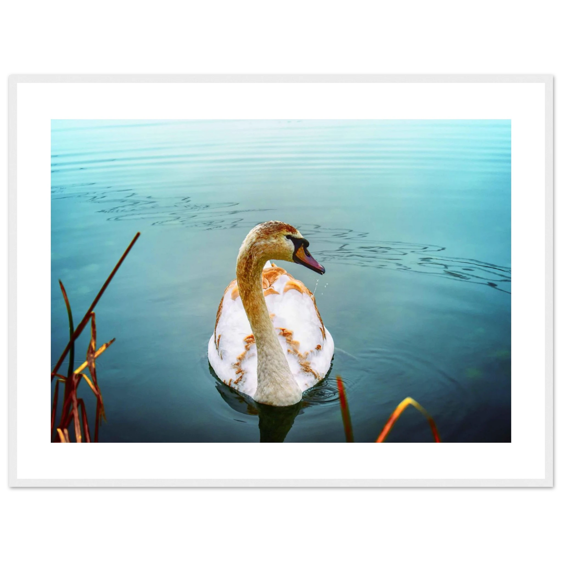 d41fcc8c-665f-4643-9bd5-40cc7ff4f5d3