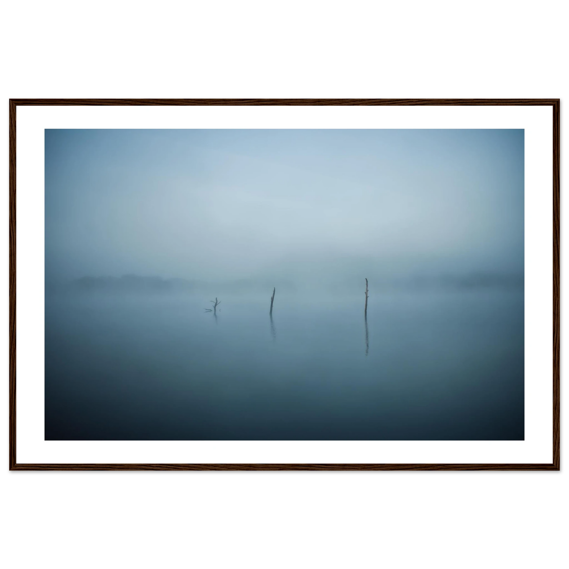 d4ad1f55-90e5-4950-b33e-81df9baa865d