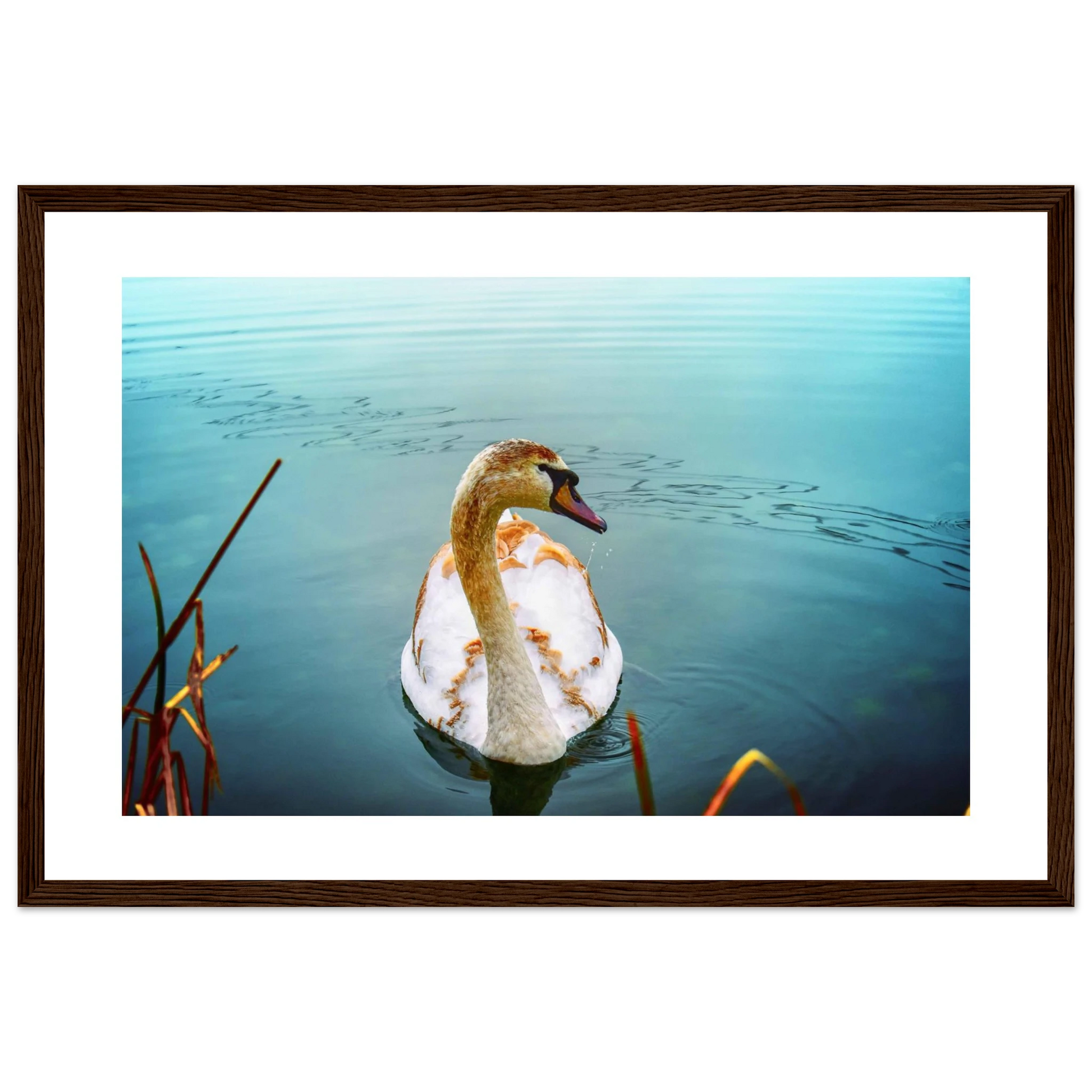 d5350758-8744-4979-a8d1-6ea5a9c2544a