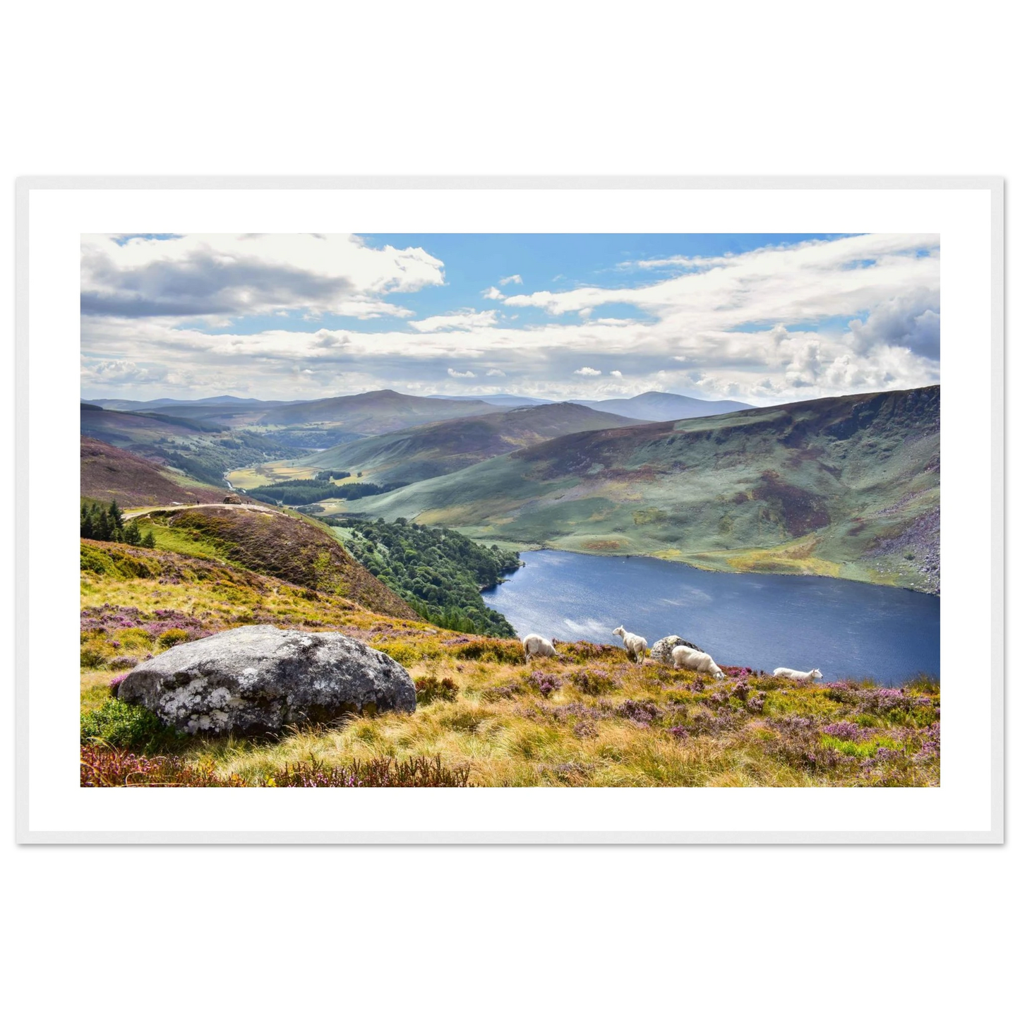 d5a501d2-bddb-4327-8f5c-471a2b18ac0a