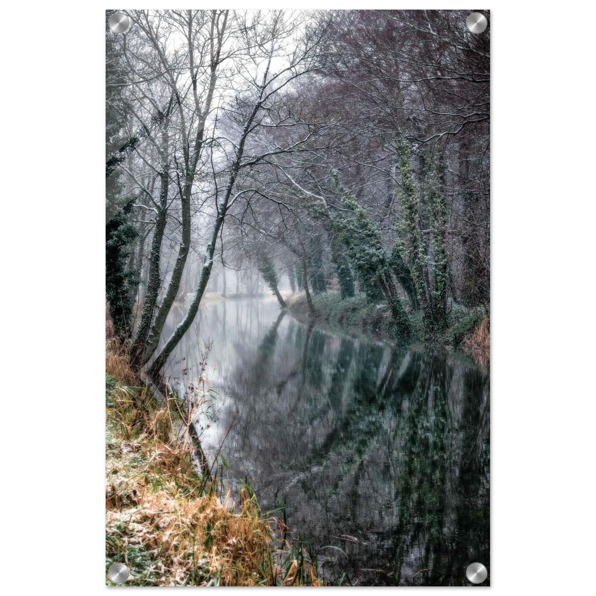 d5b9ccd3-8820-4632-869d-ce044310b113