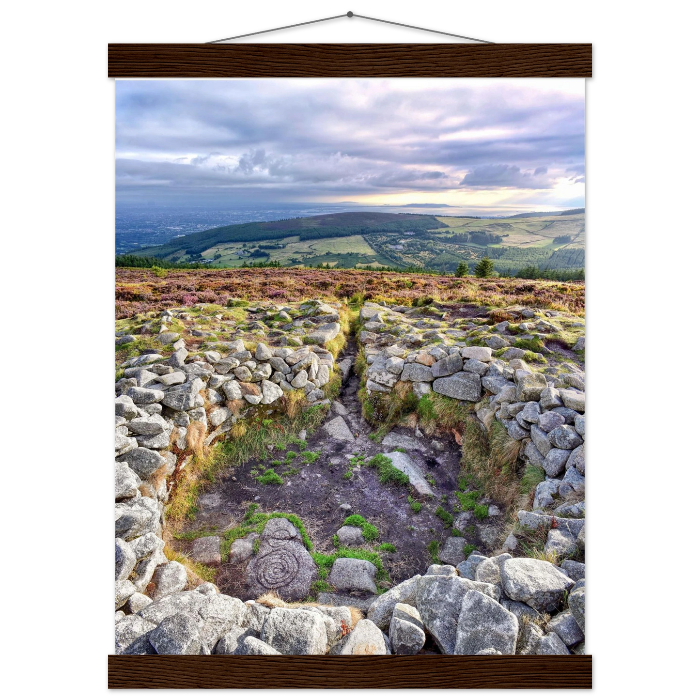 d5c4b6cd-9160-4dc4-a256-c815be595cab