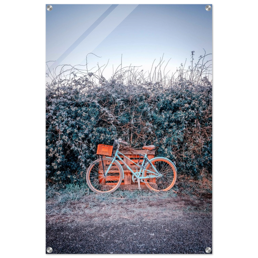 d6876793-1267-4930-84a1-f32ae87e557c