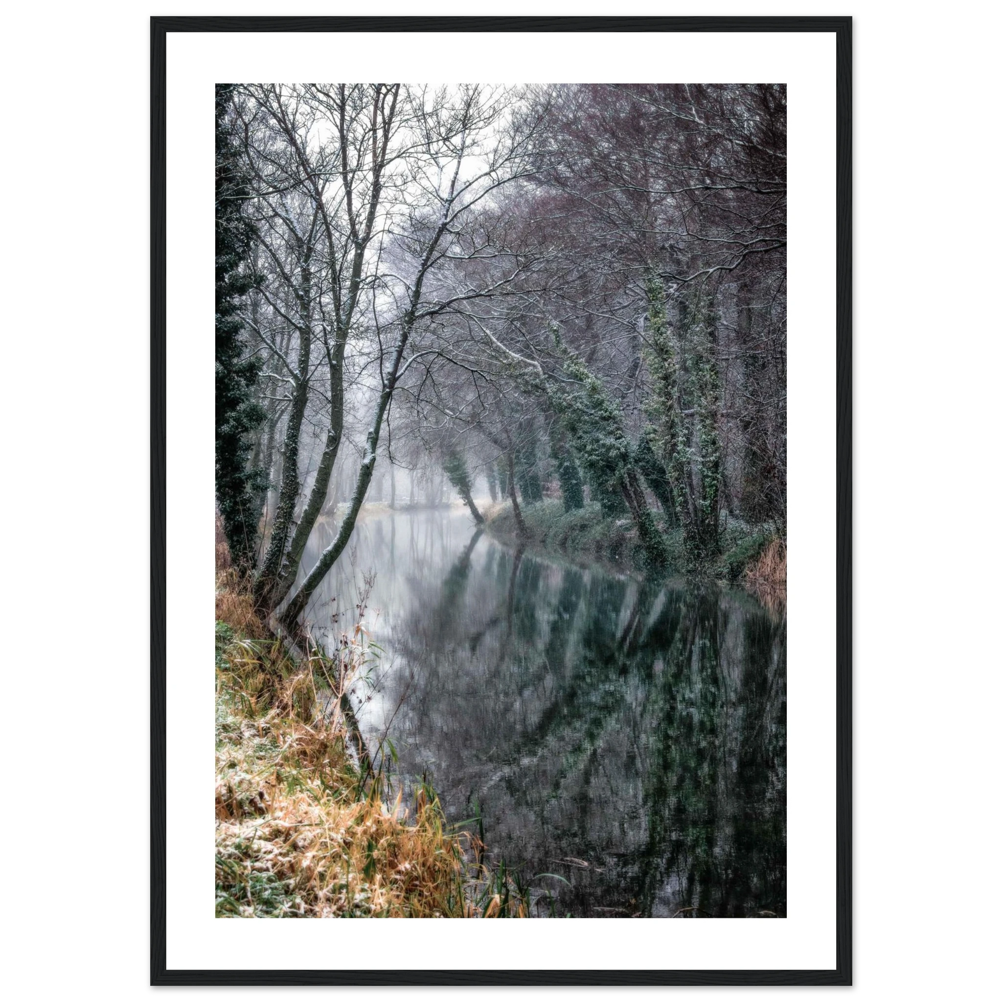 d6f39755-9912-4f3f-975d-e24d6f191b8b