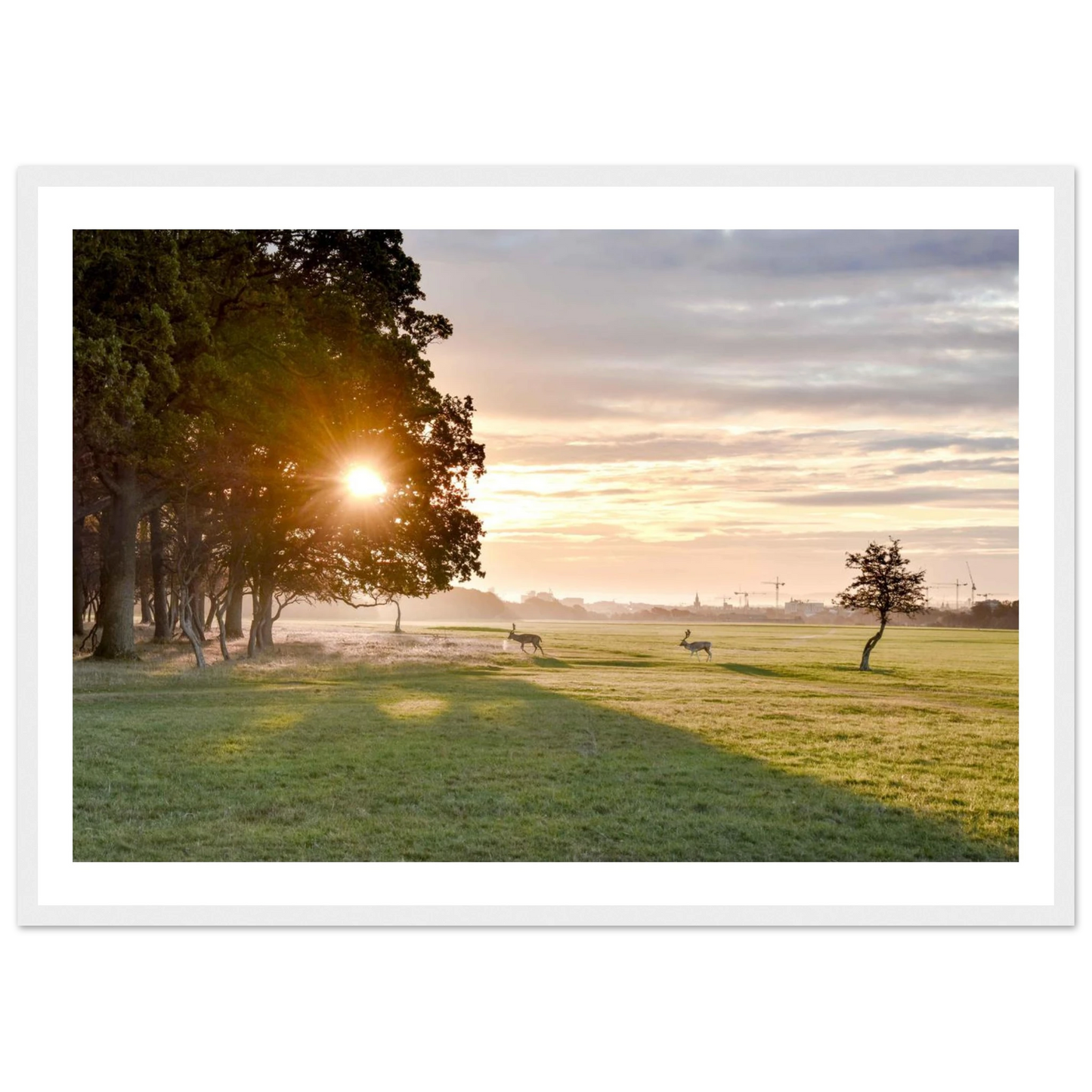 d6f5fa96-a256-404a-80c2-9cd2c6cc8300