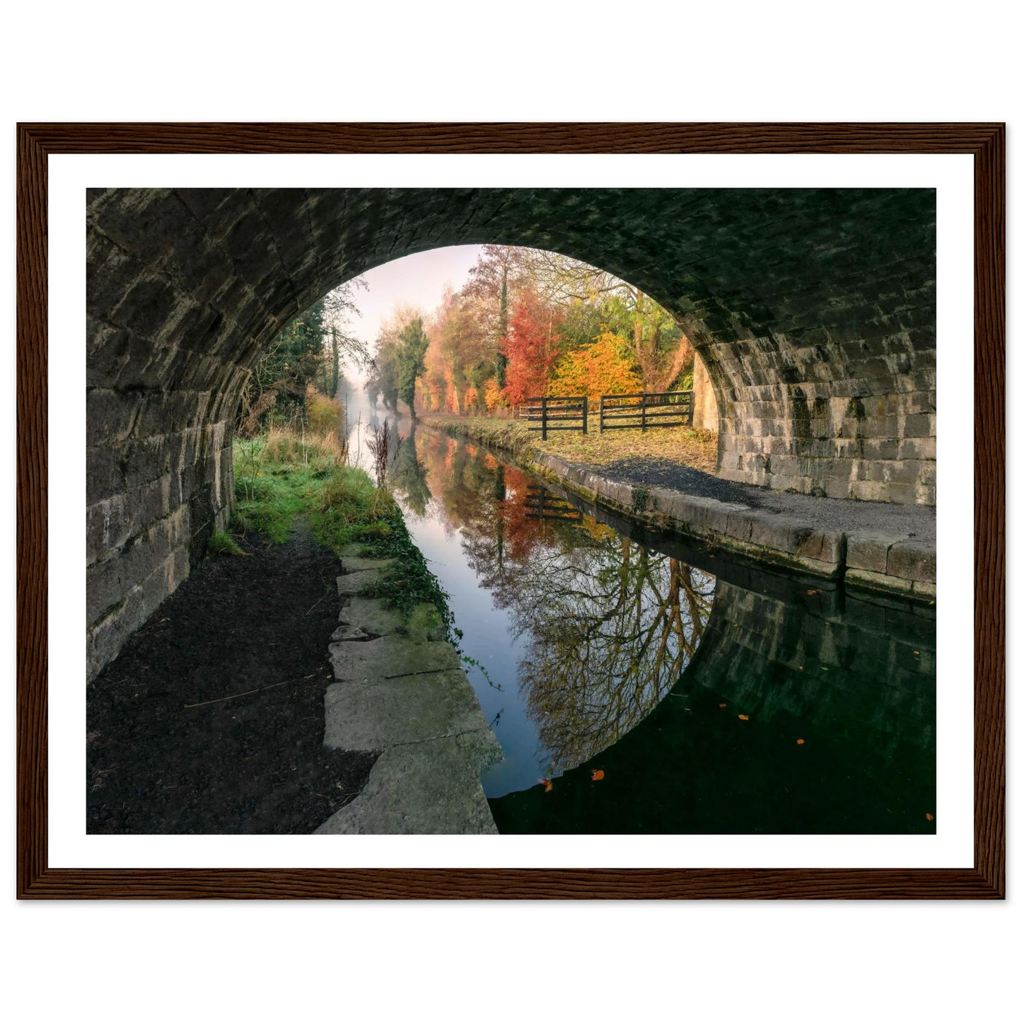 d6fa7417-e5d2-485f-b8e7-4523ea0d2d16