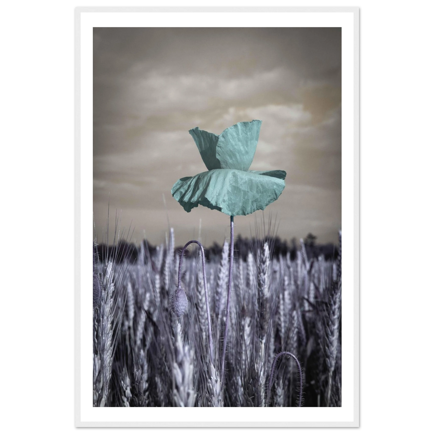 d74a9cff-309c-41d3-a34b-2d7dbfe8e946