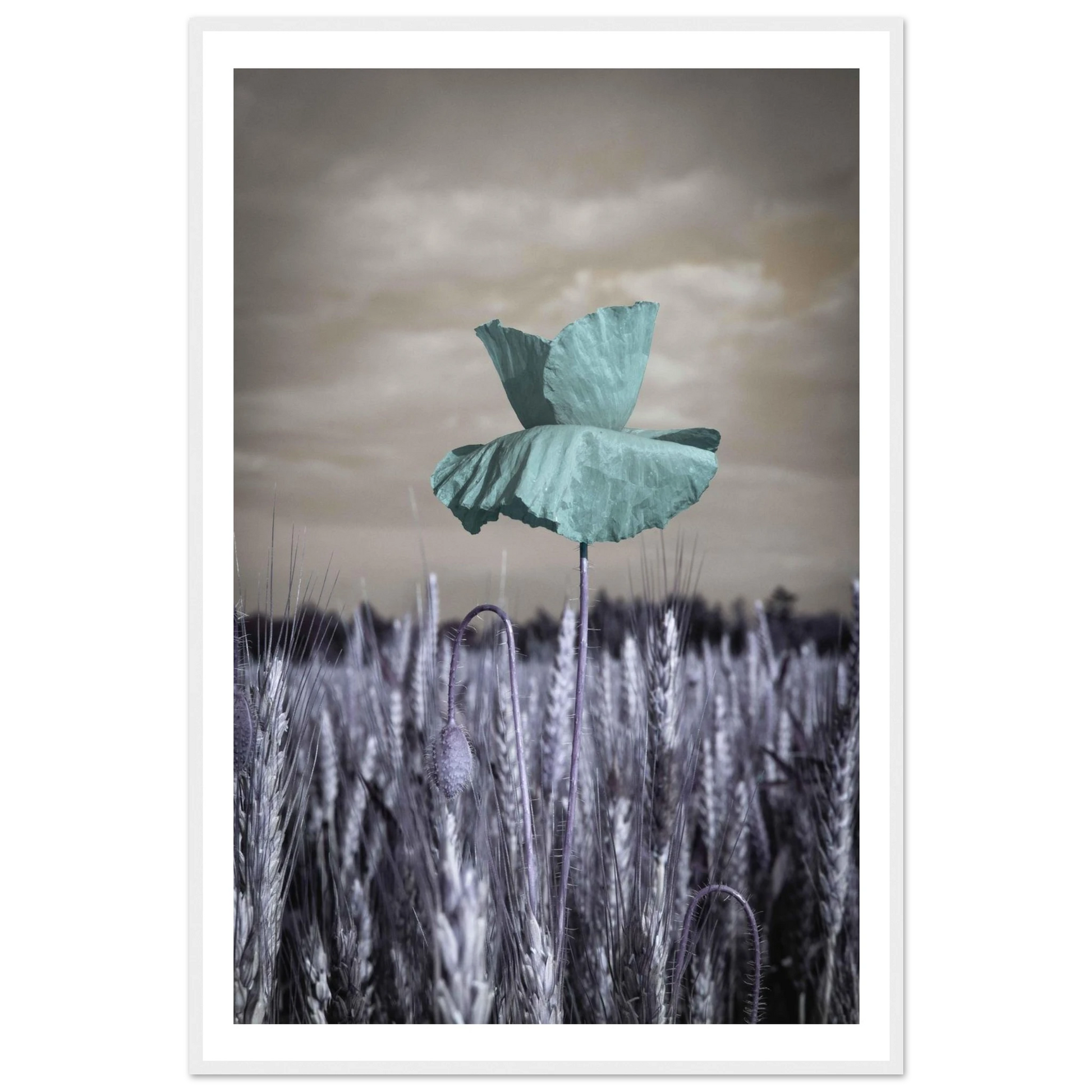 d74a9cff-309c-41d3-a34b-2d7dbfe8e946