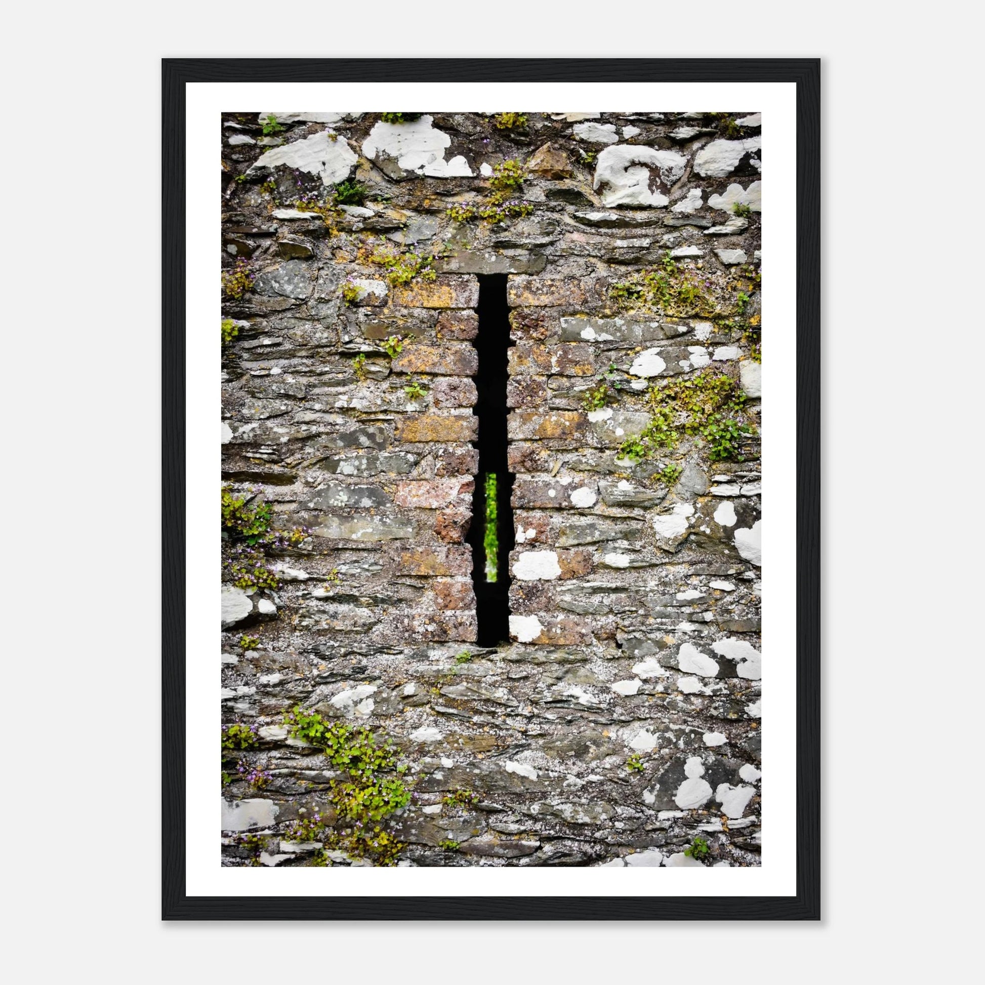 d7809465-851f-4615-bcac-d24ff39b7832