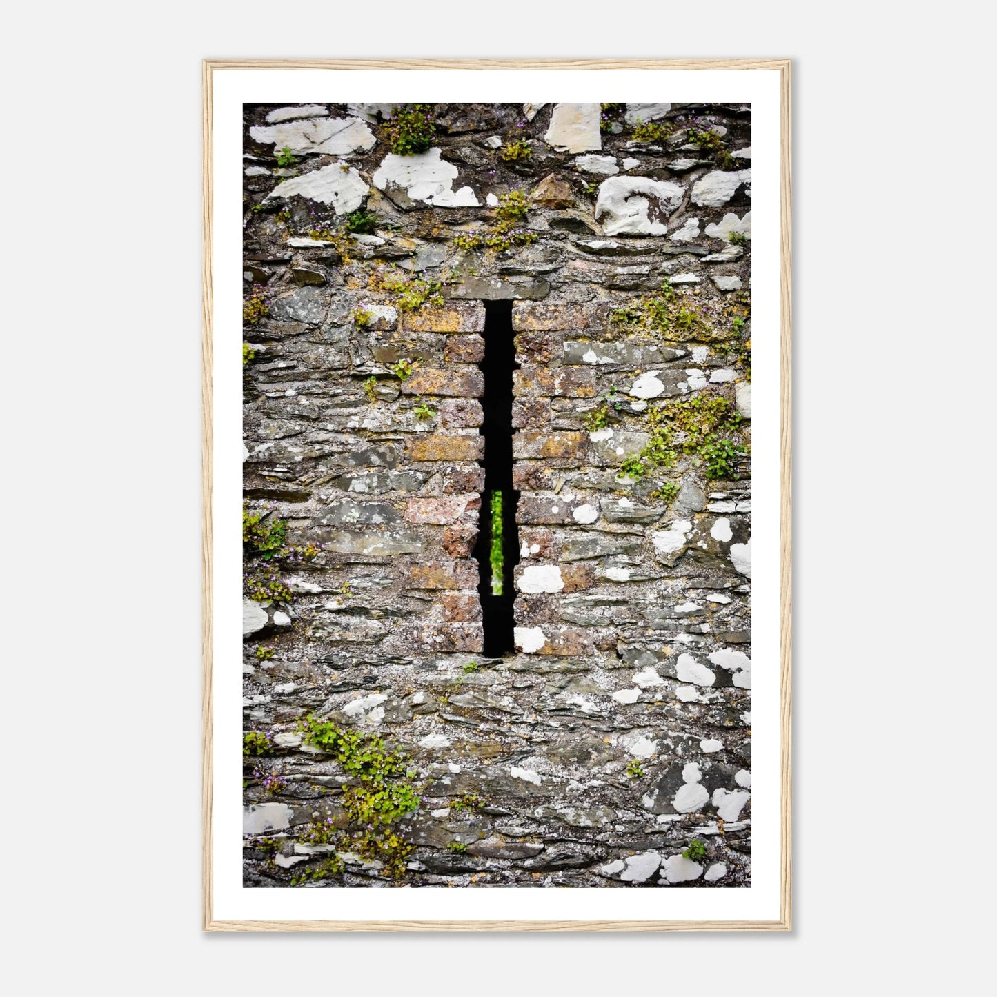 d7a3548e-4672-42f2-8a0f-bc26aa74f38f