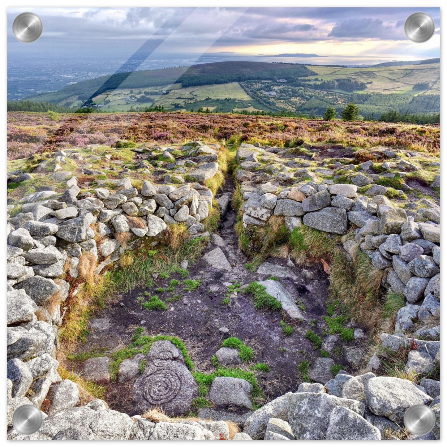 d809be27-6c1d-4e37-b831-4b6b3853bf15