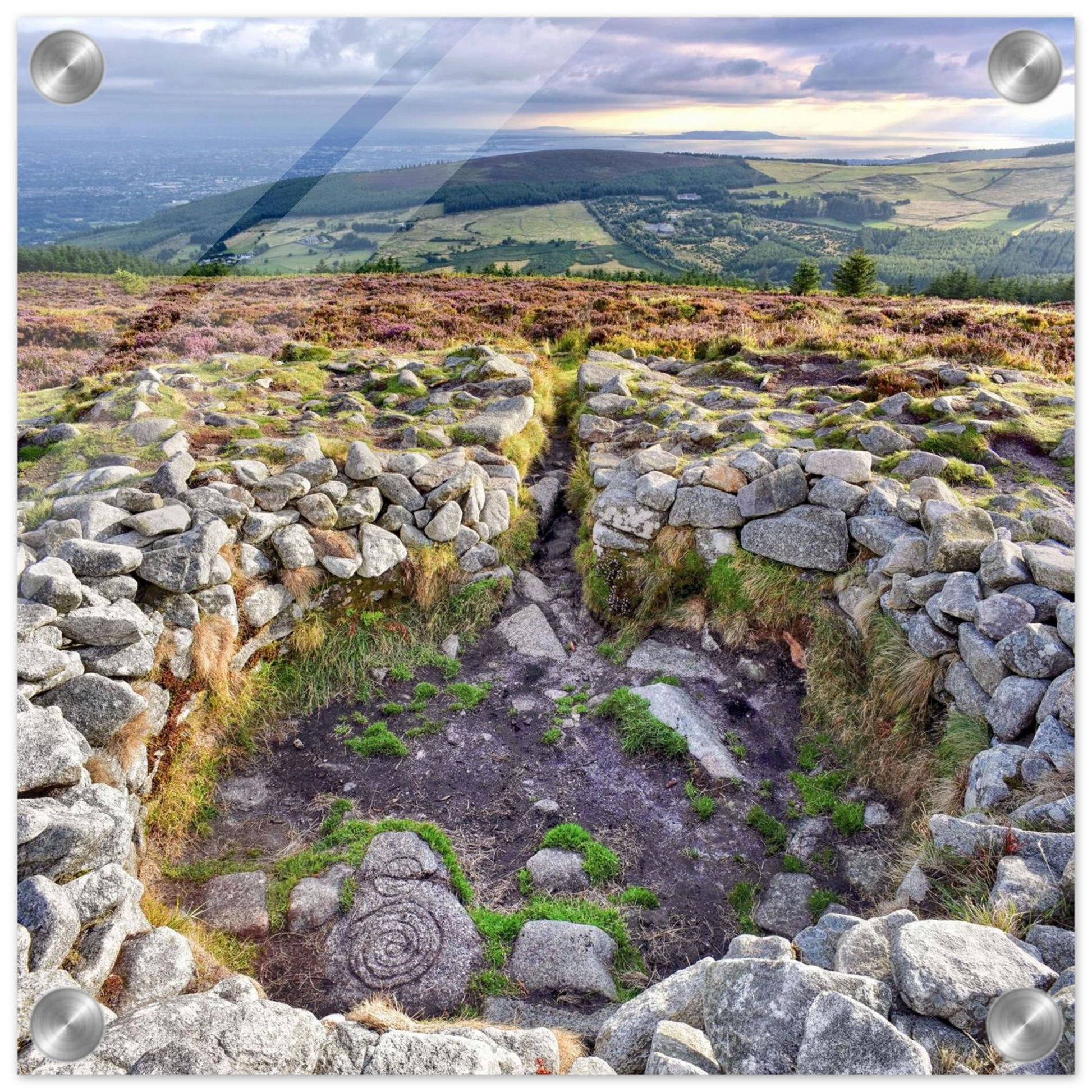 d809be27-6c1d-4e37-b831-4b6b3853bf15