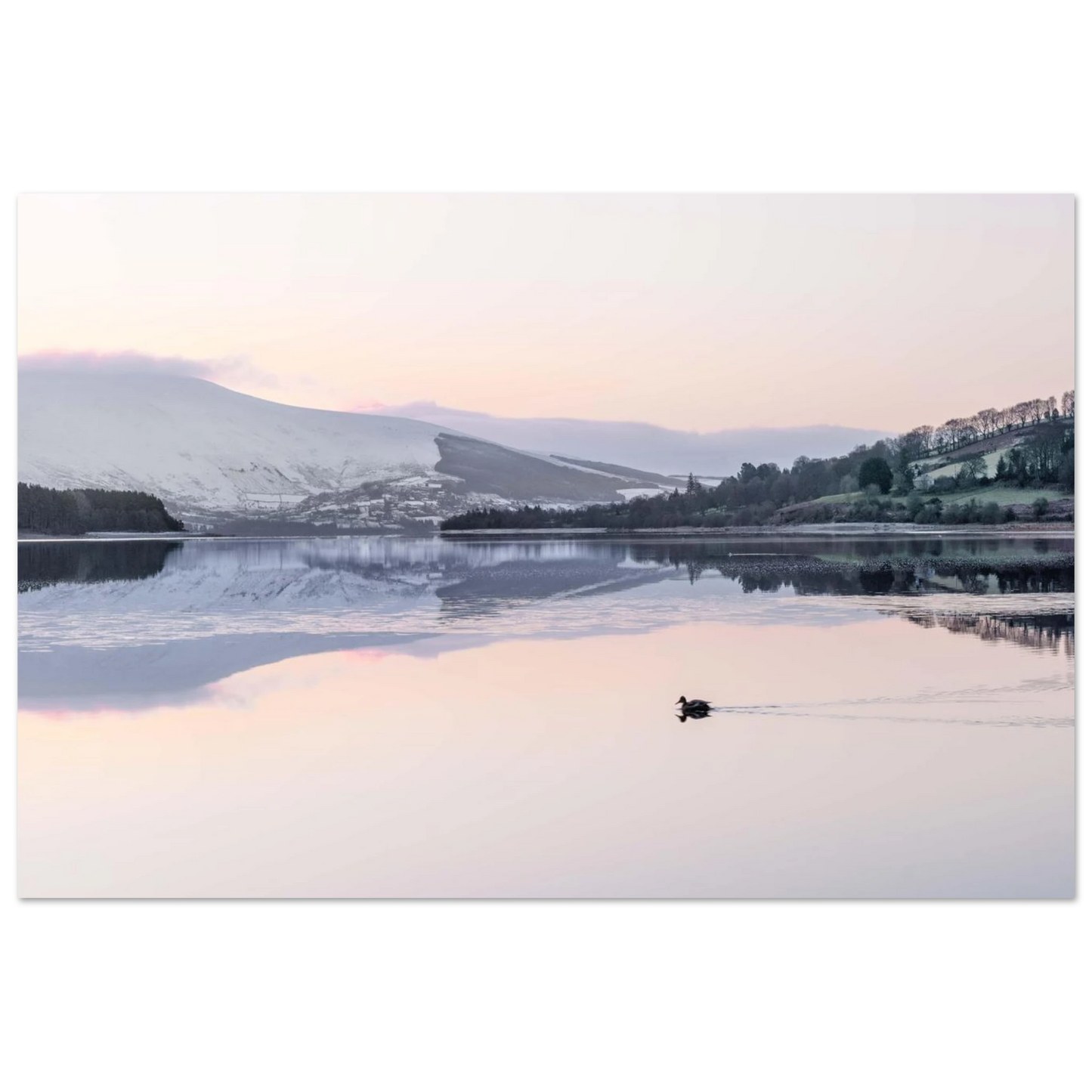 d83161b4-ce52-4a71-994e-5bb8b8c780ef