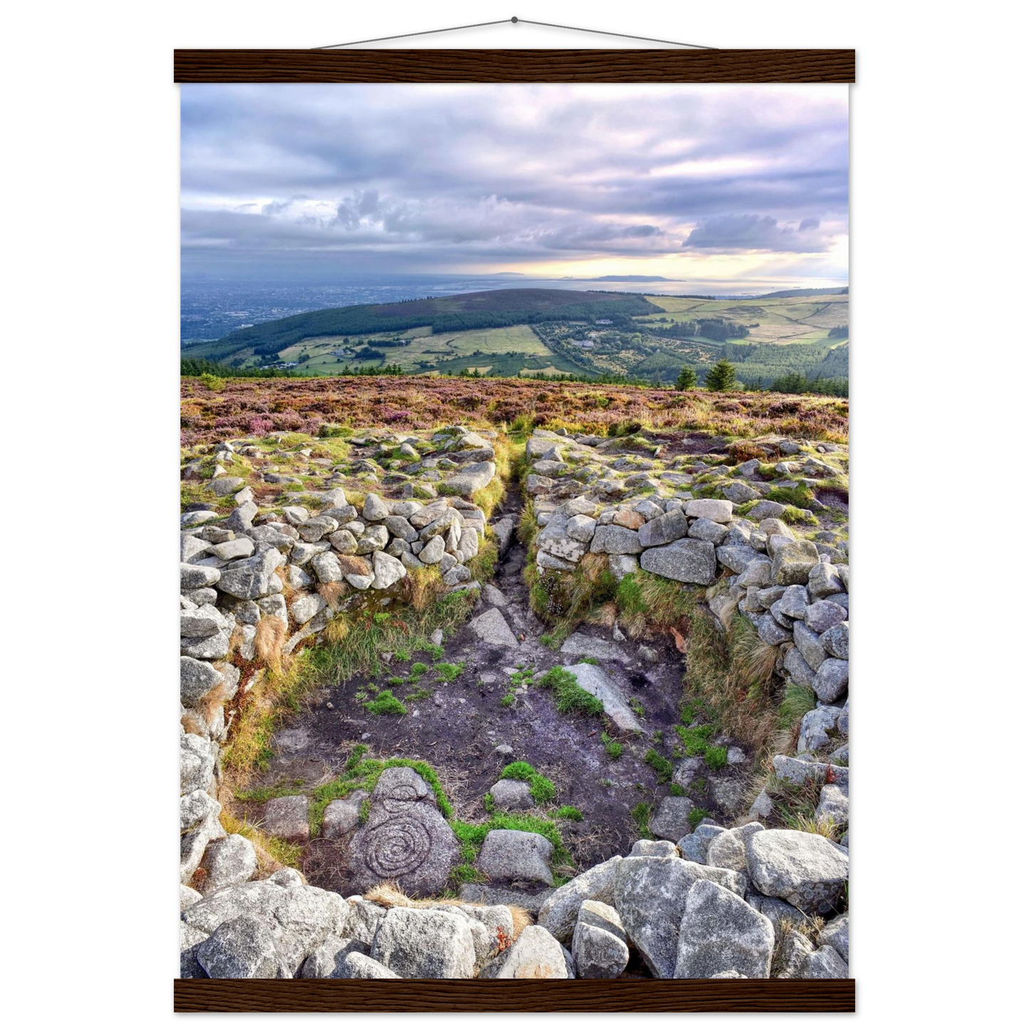 d9820c3a-12b2-4105-bb73-a13df39bdad7