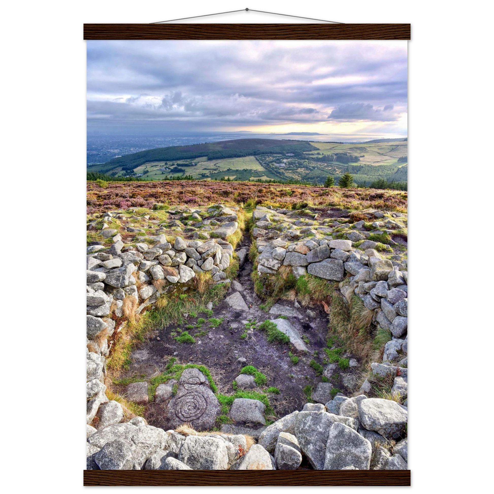 d9820c3a-12b2-4105-bb73-a13df39bdad7