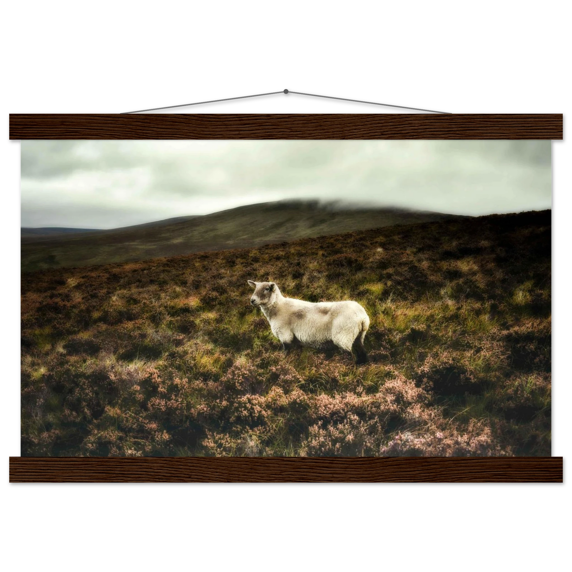 da15a7d0-1c95-4535-b008-b12d83a43d52