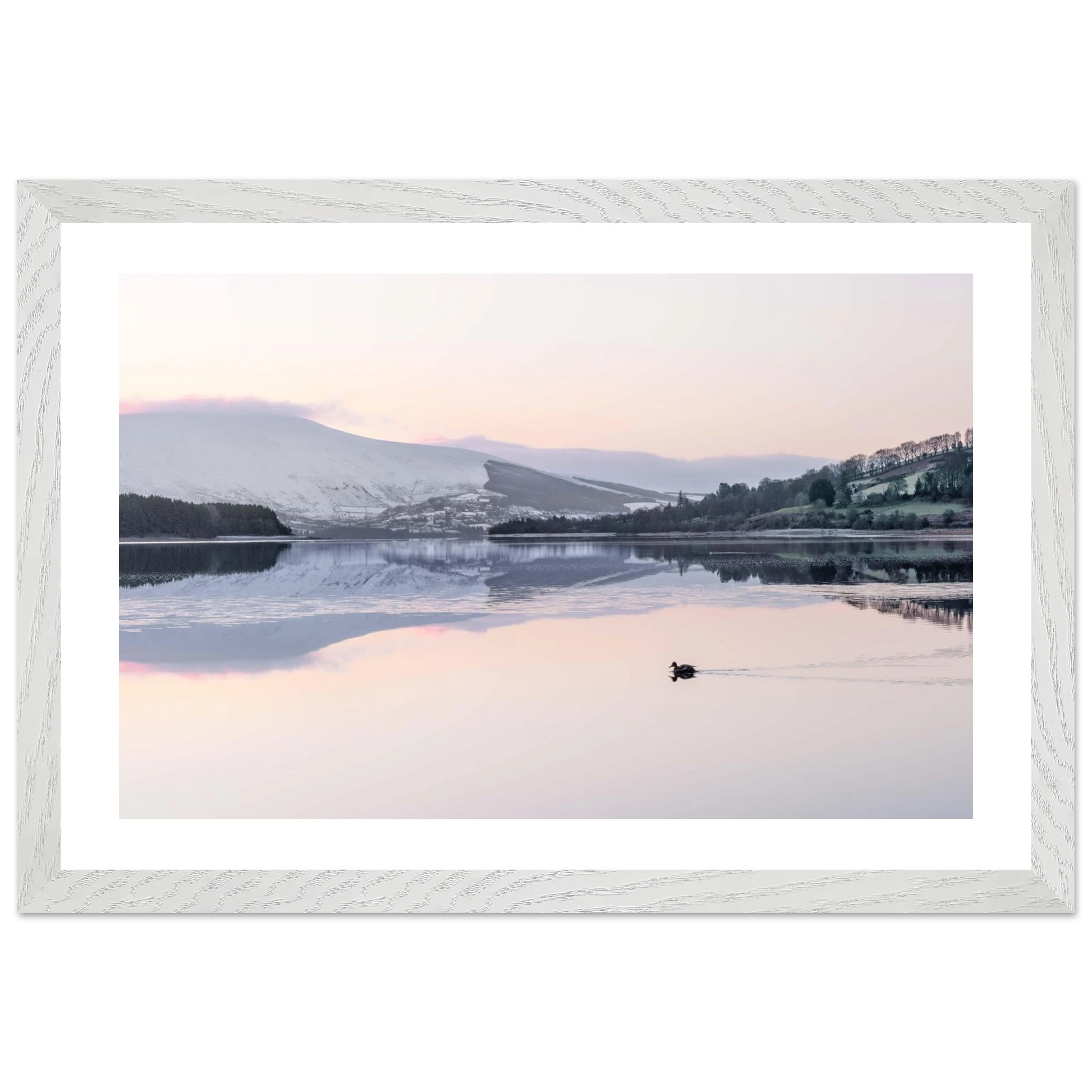 dae39221-312d-4b40-943c-bfd3d0604109