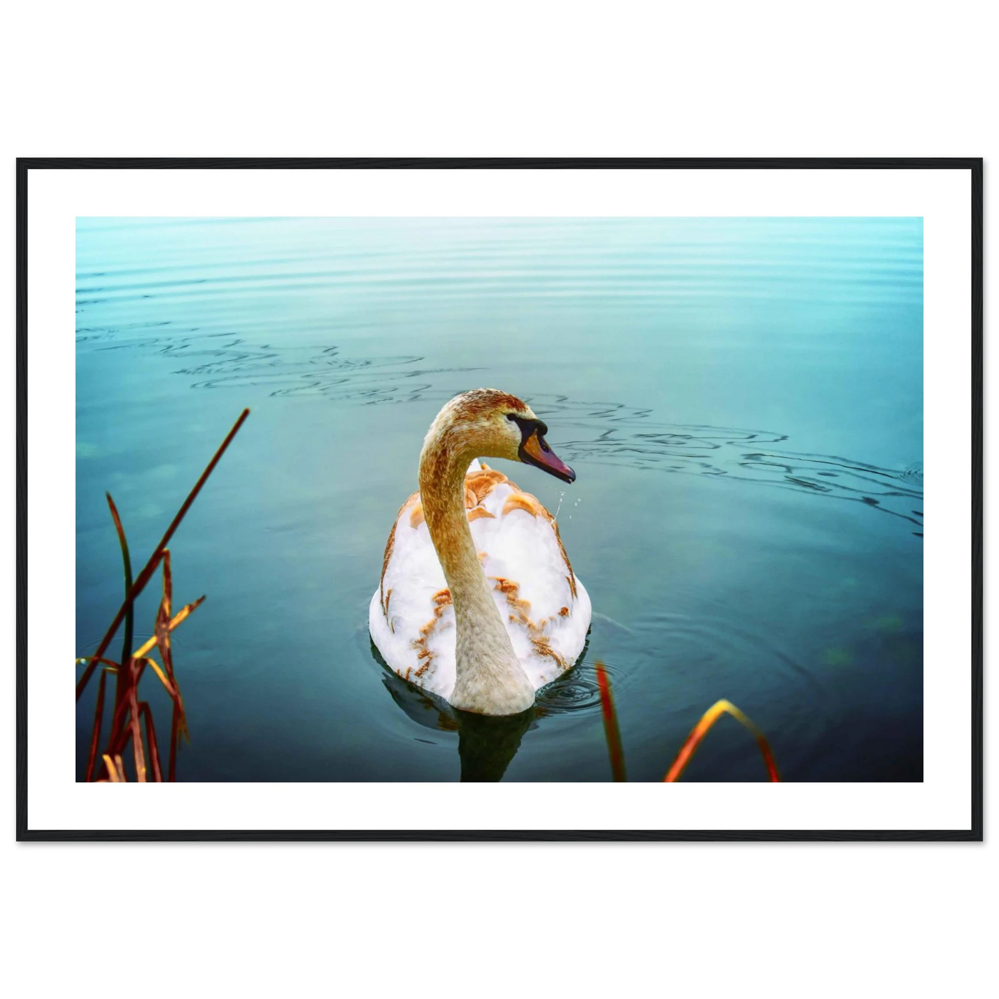 db0c5d9c-c446-433e-a342-901386d3bb10