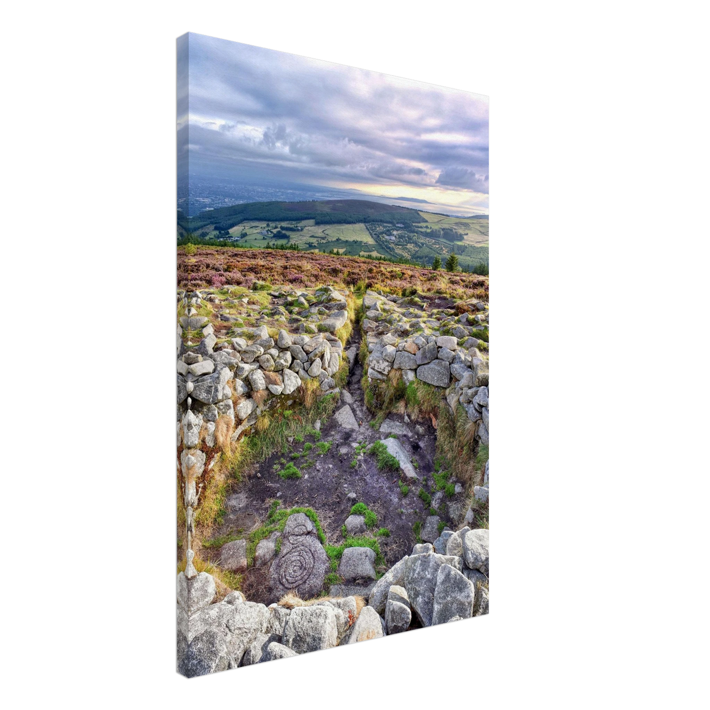 db2f8145-e7f2-4245-b469-f3d2a5cce73a