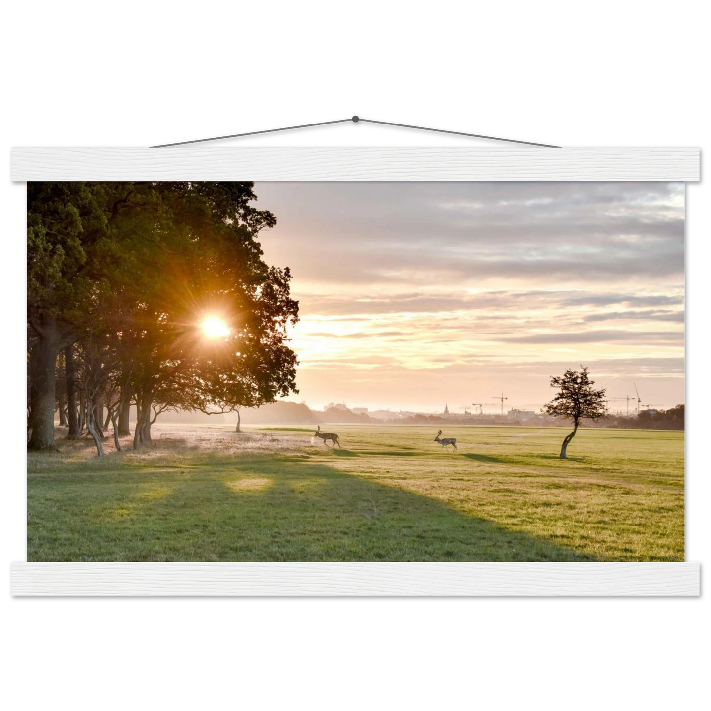 db829edf-2f95-4907-b493-4fd5bf75fca1