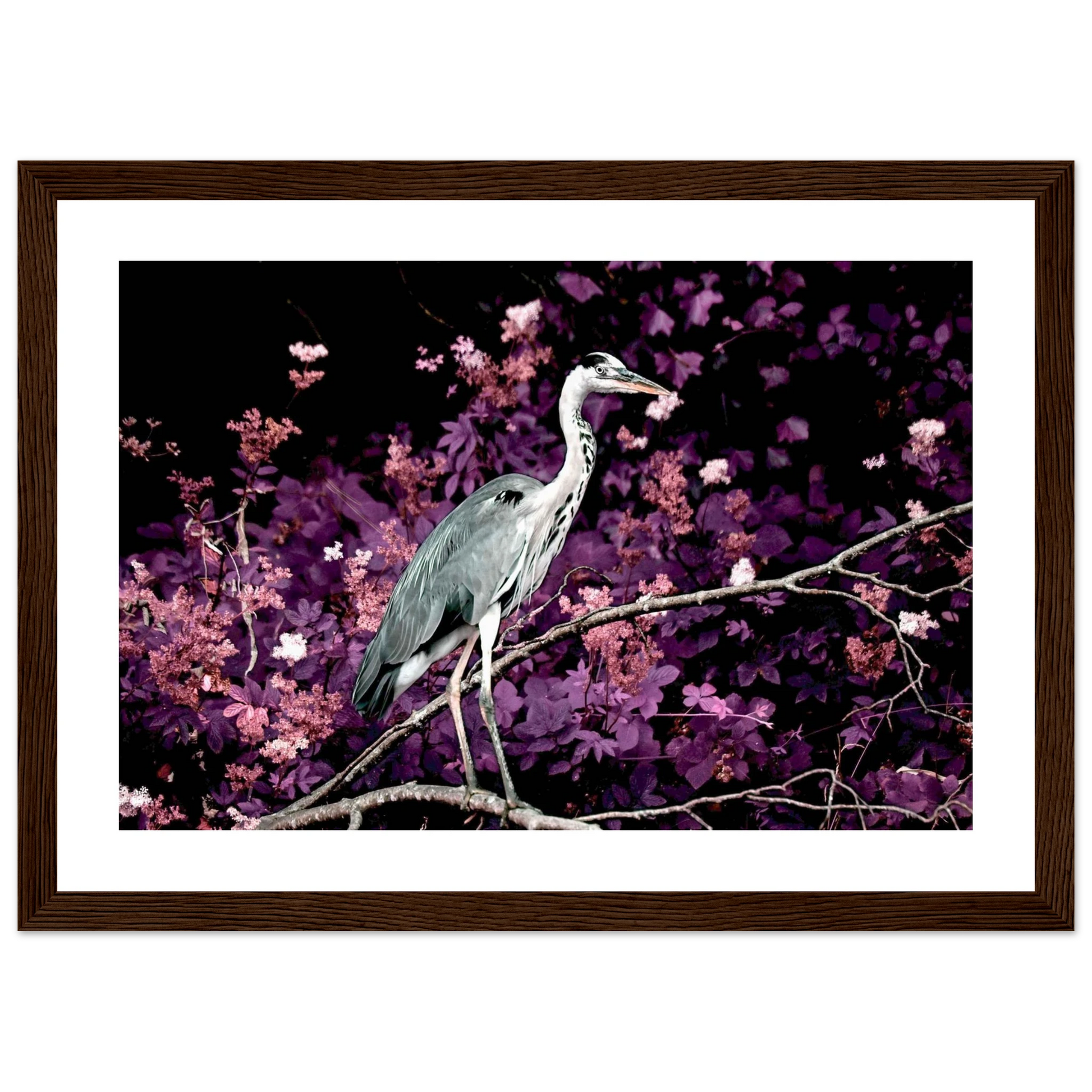 db8c3ef5-9621-4ad0-baf5-aa75611d4829