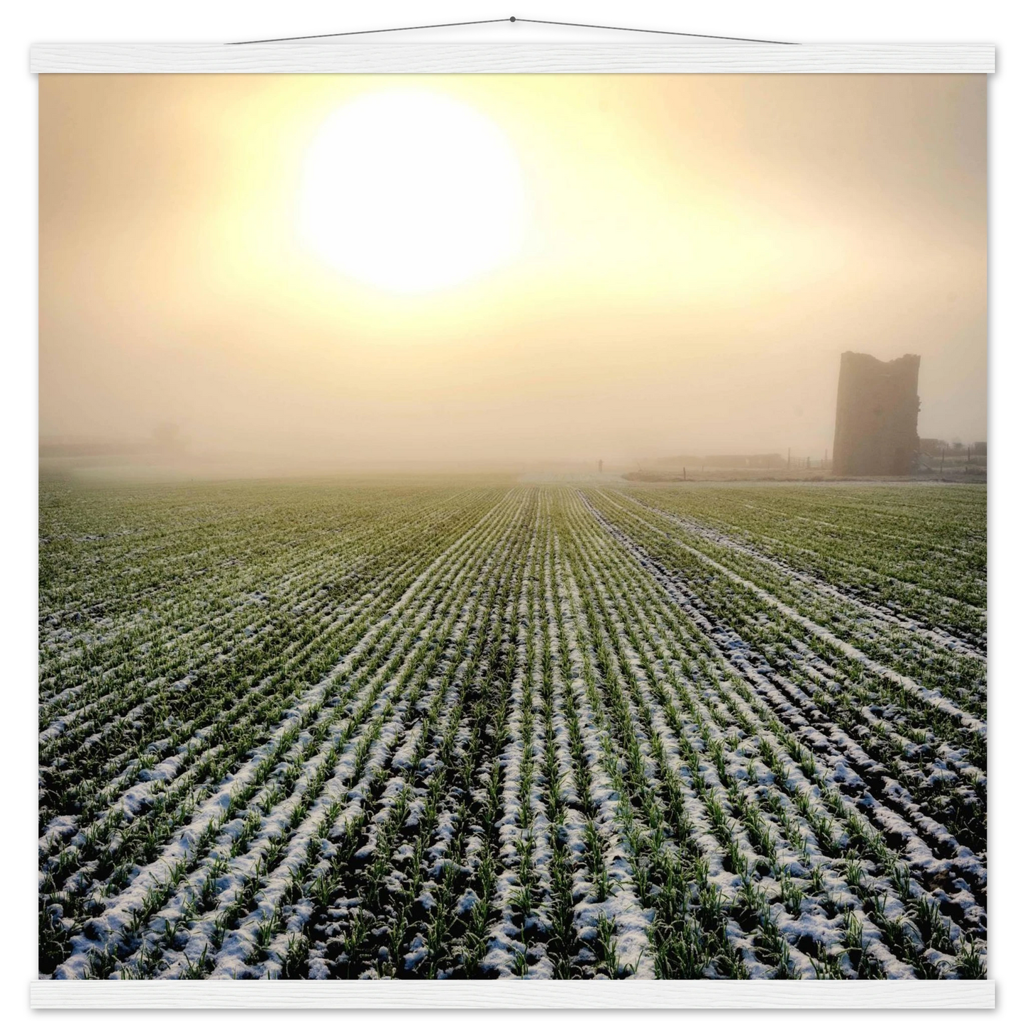 dbc6ec77-d6b6-45d8-af95-527e0087d63a