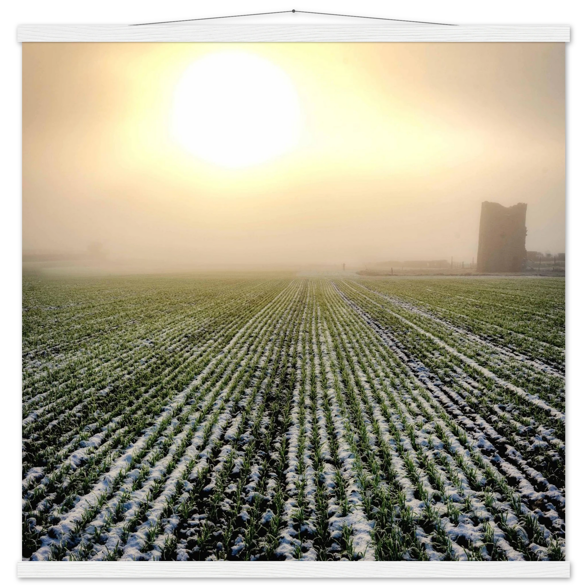 dbc6ec77-d6b6-45d8-af95-527e0087d63a