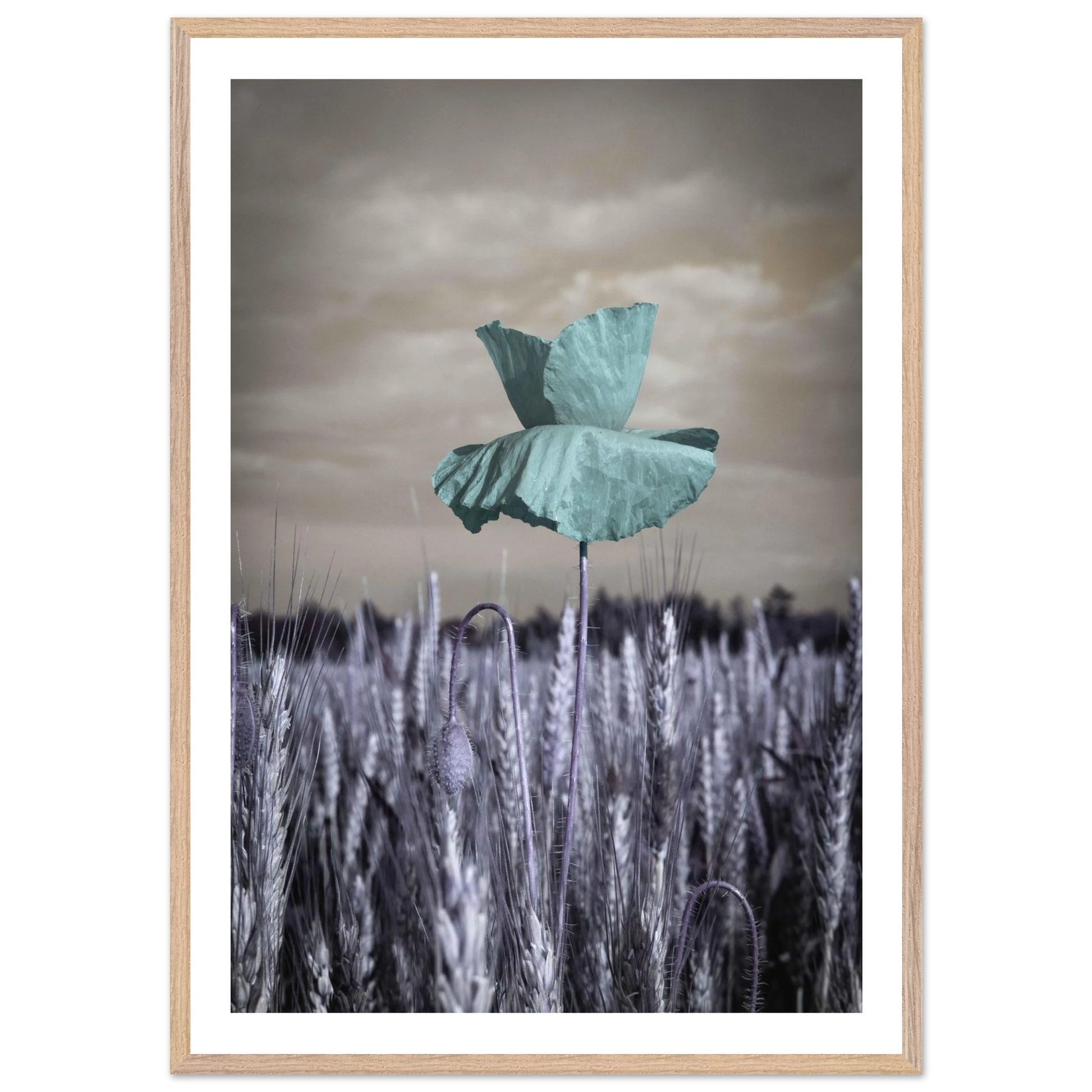 dbcc1a2f-f5bf-48c5-ba08-b29a2a77b696