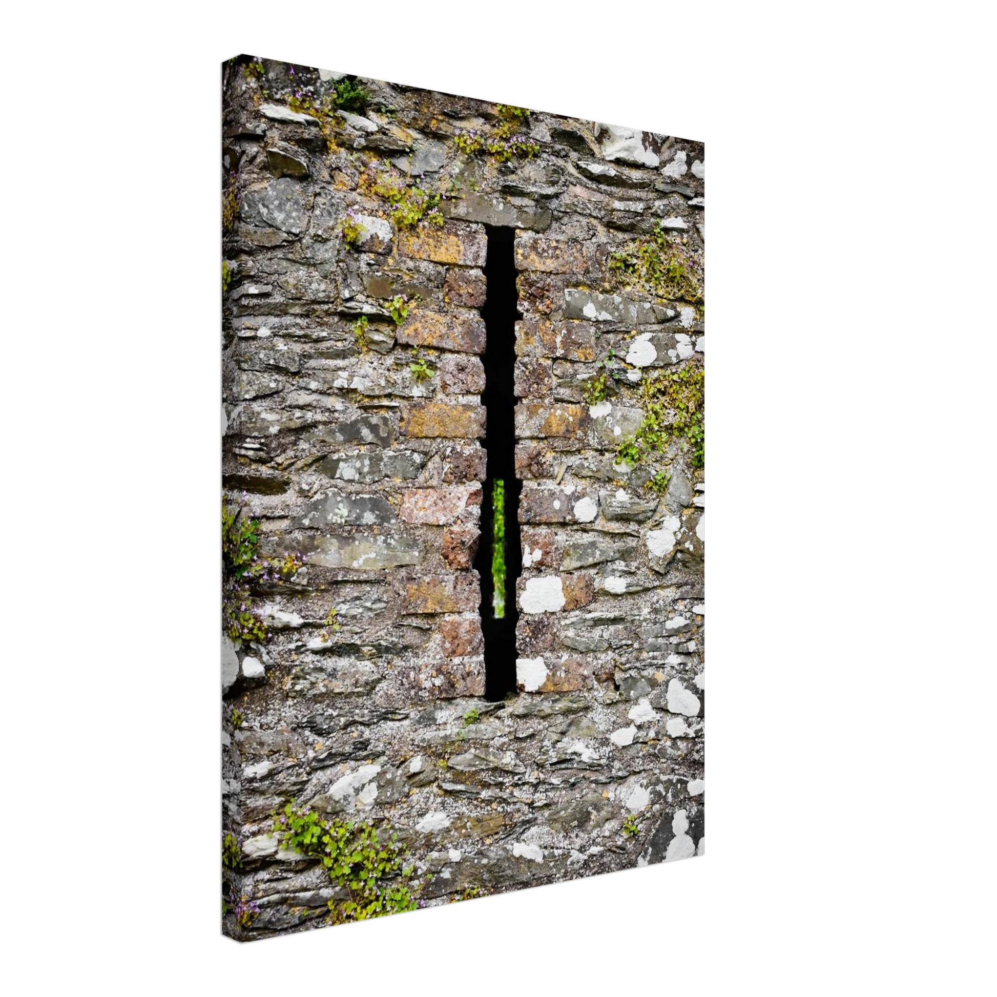 dbf1f711-48e1-4228-8c37-8d3a01eb63bf