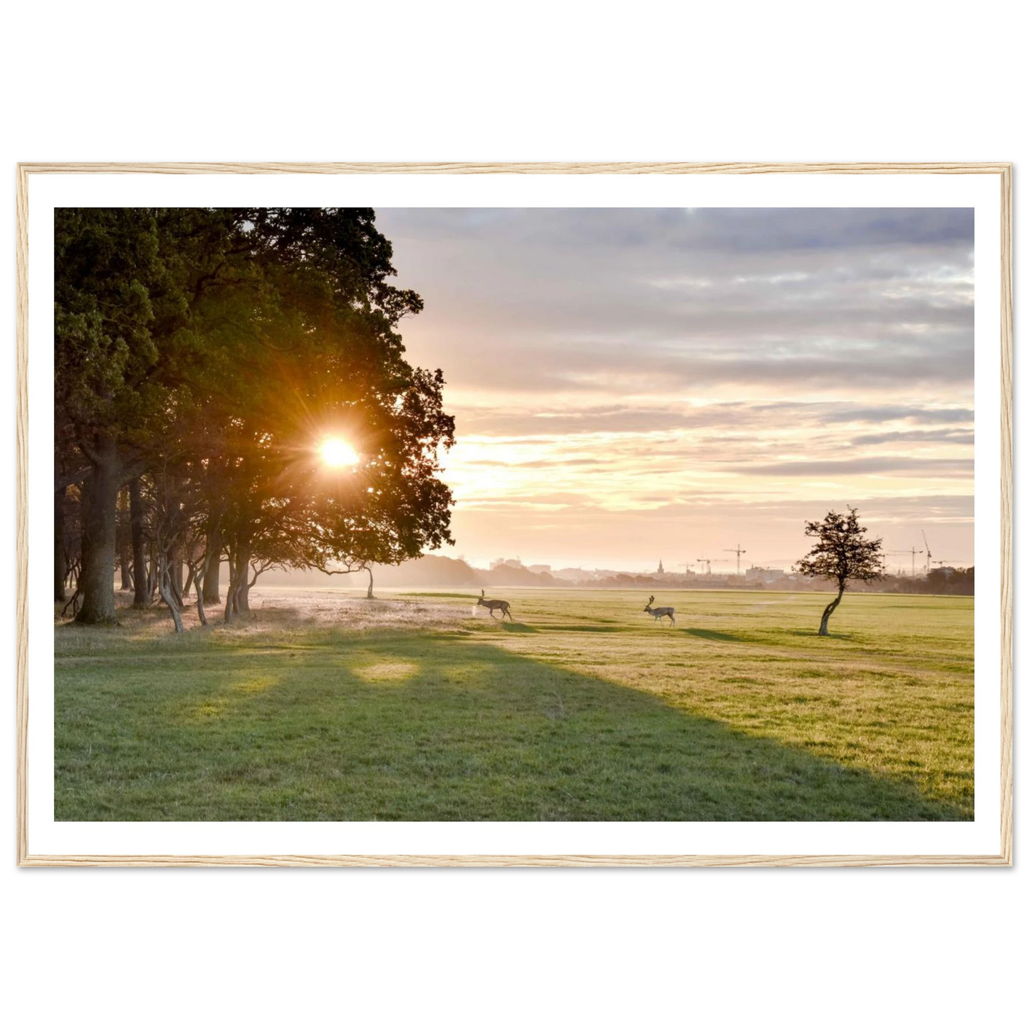 dc03f18e-f388-4f56-9f7d-f0165625e28a