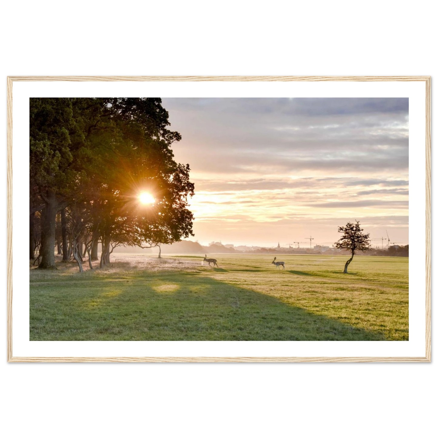 dc15f632-4251-4a90-aa1b-9c41072a2665