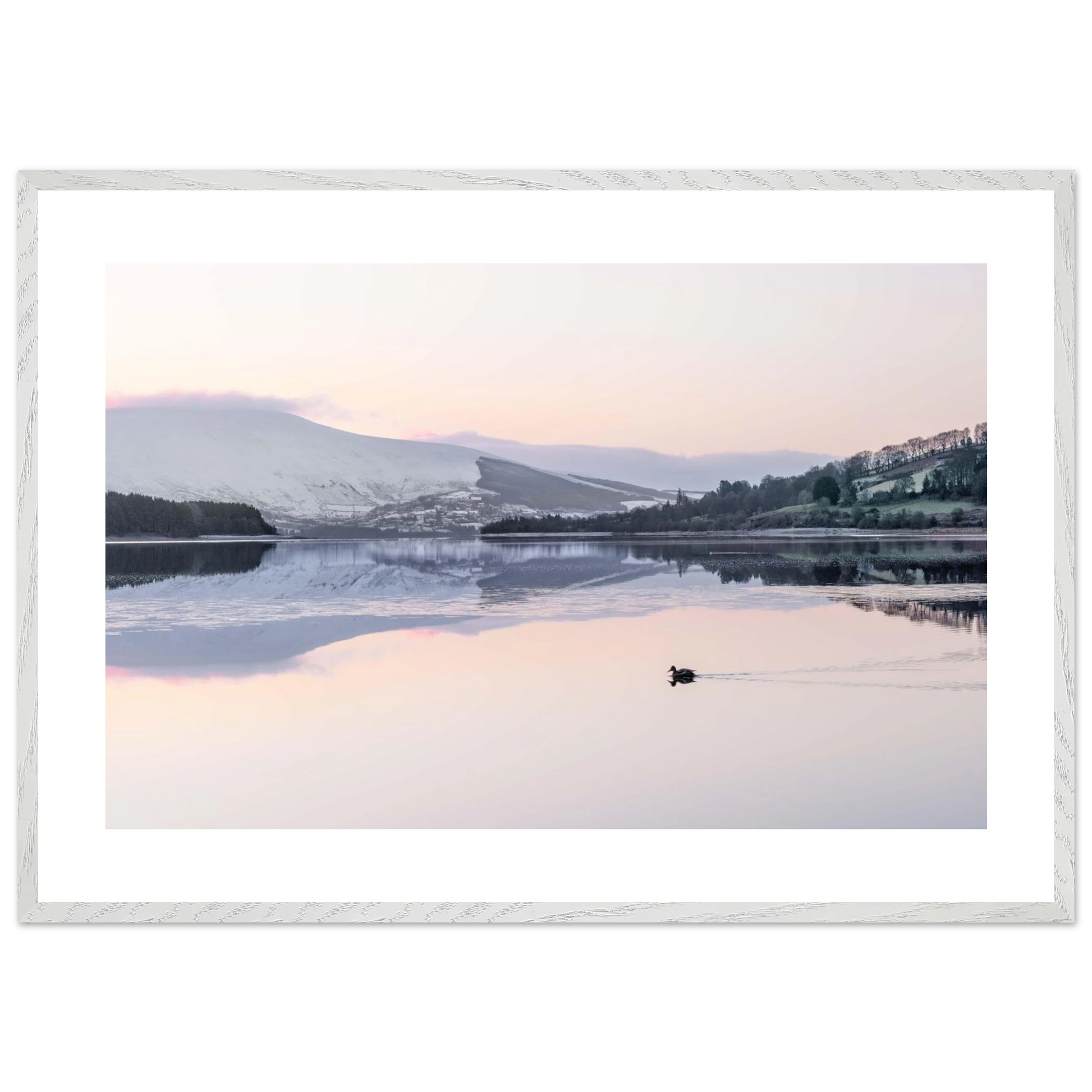 dd5606a0-dc64-4bfe-9395-518d53f8a507