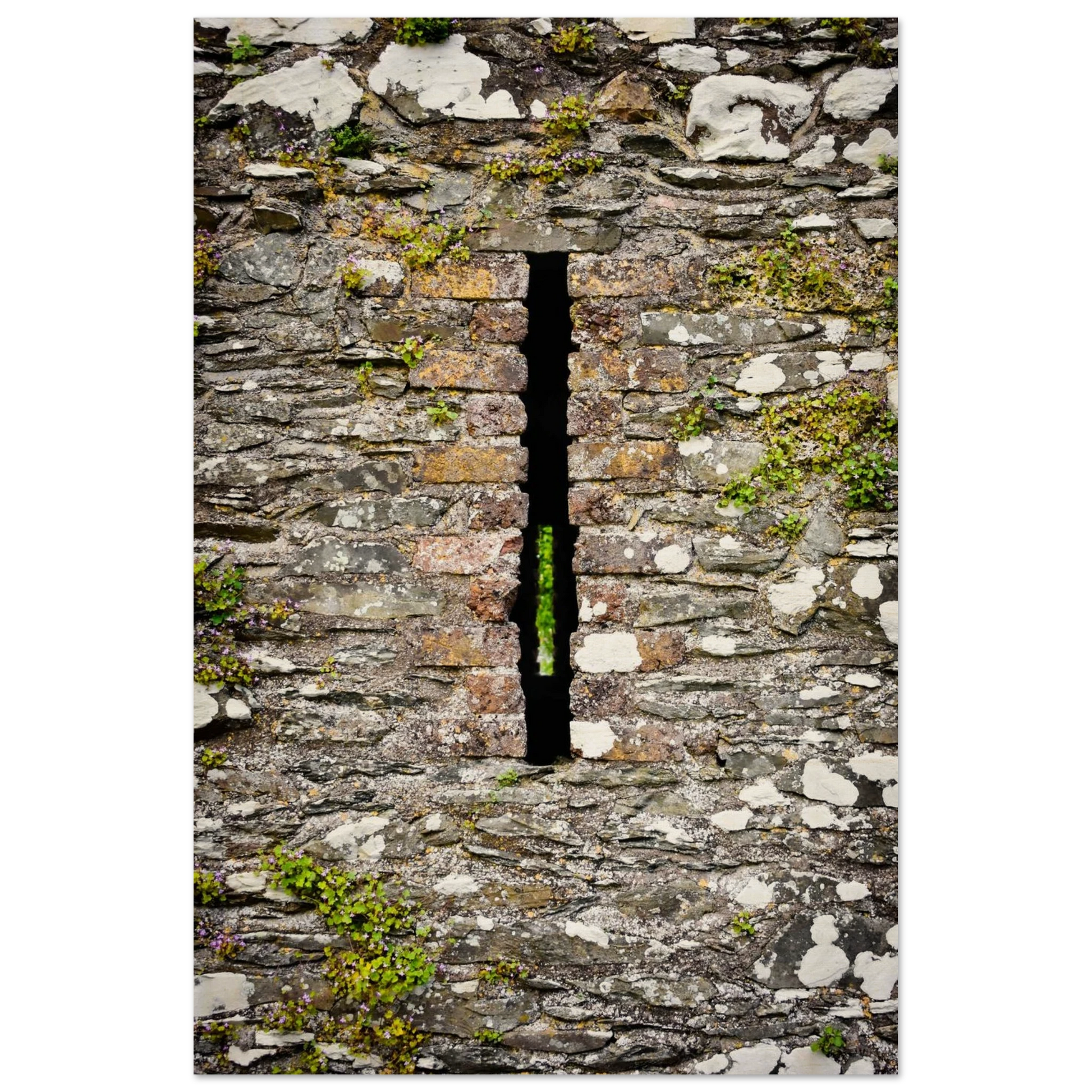 dd57bdc4-cff5-4f09-9ba3-5cfbfabb42e8