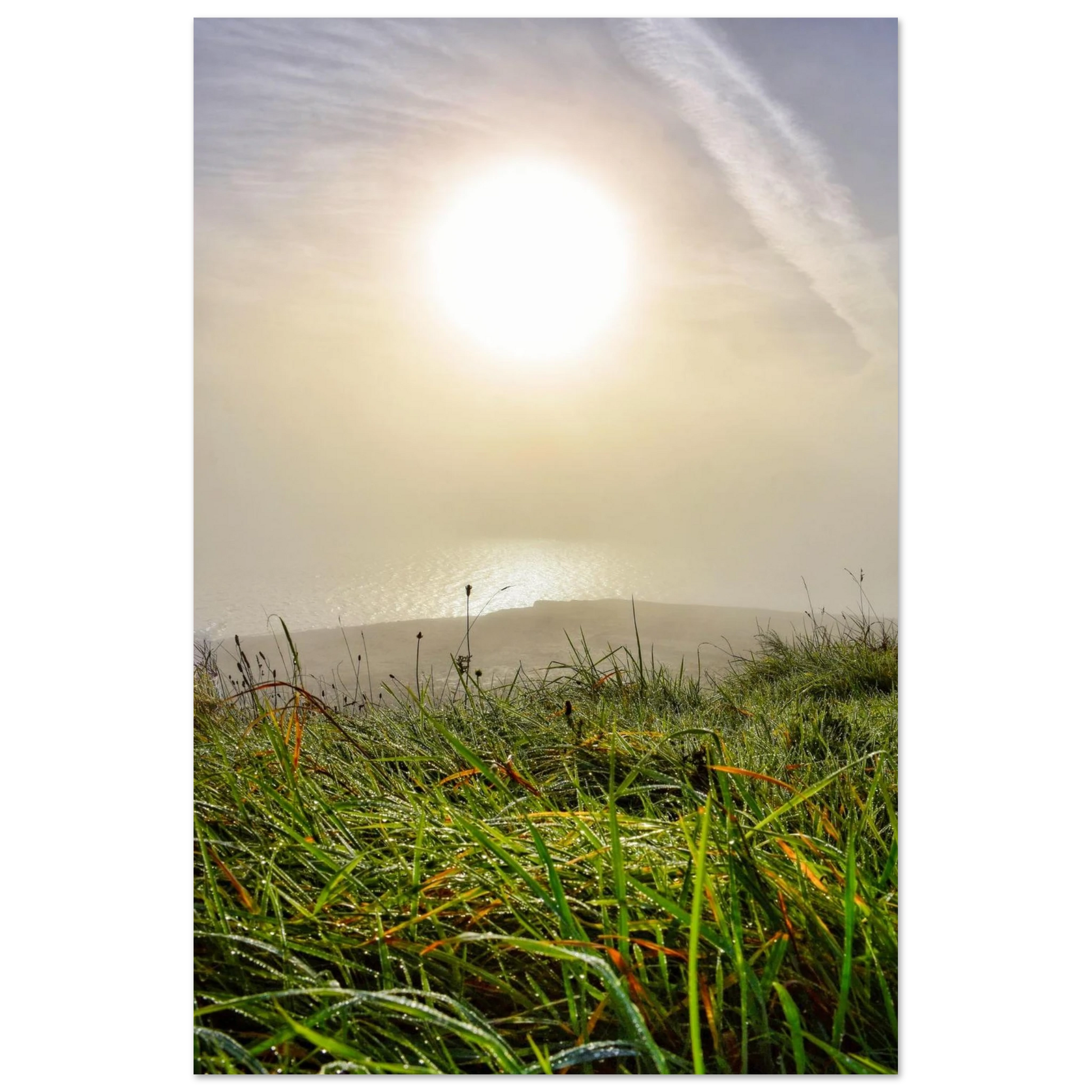 dd759a37-8f87-4e24-9577-110cabdbbd7a