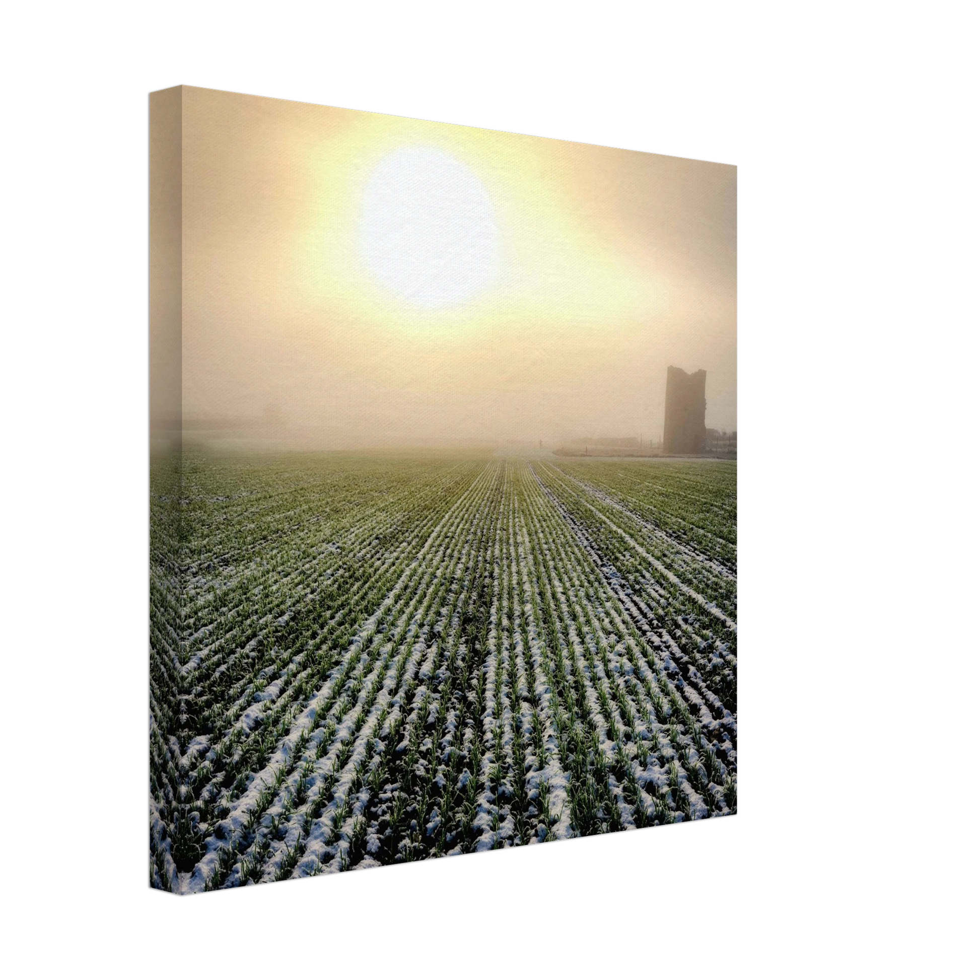 dde37aec-42ad-4e7e-b816-1e888a703354