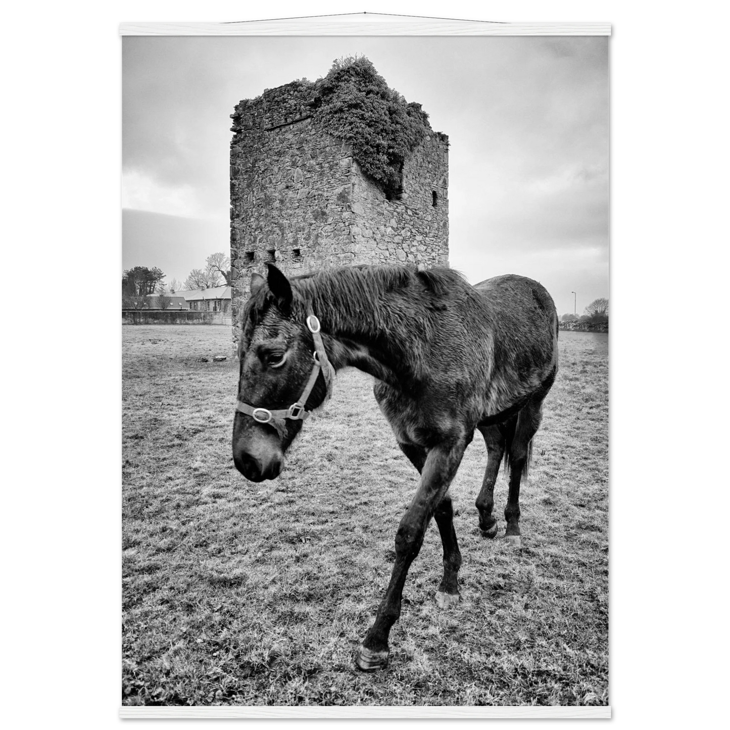 de0eefa4-2761-466c-98d6-43c33b544c7f