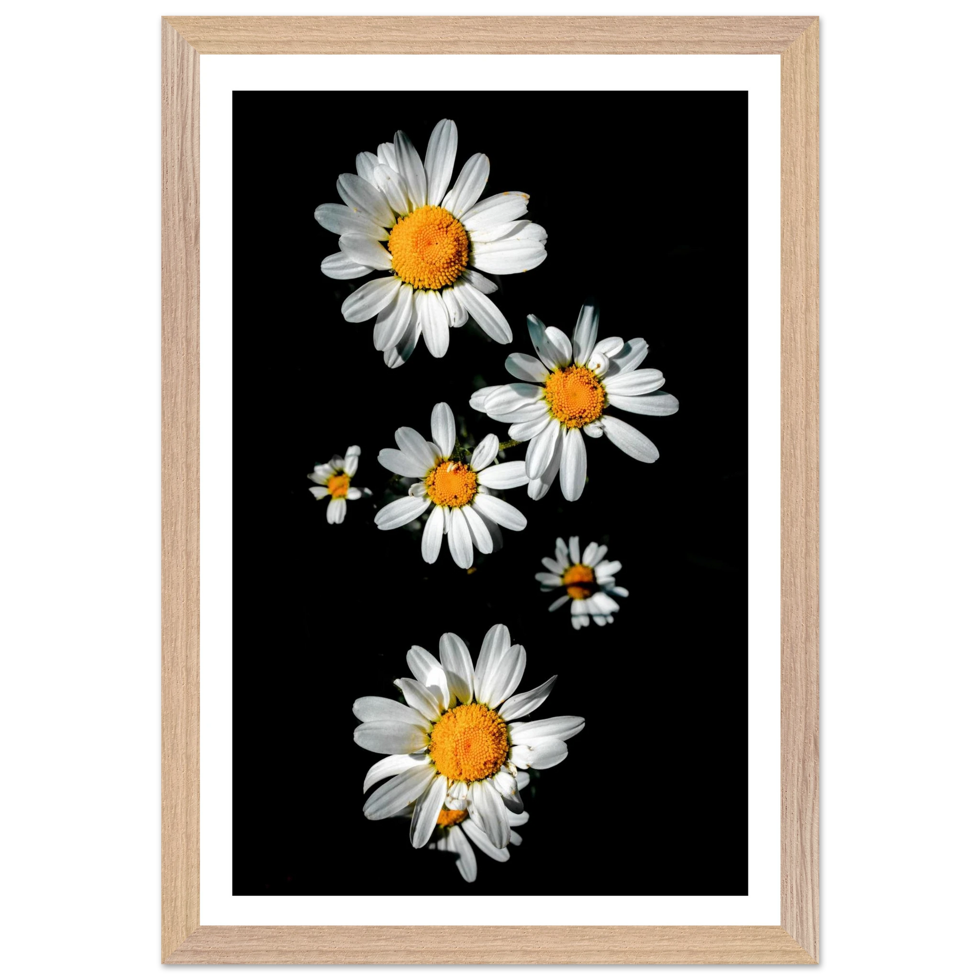 de6d765b-78f7-4923-acaa-4778538ef8e4