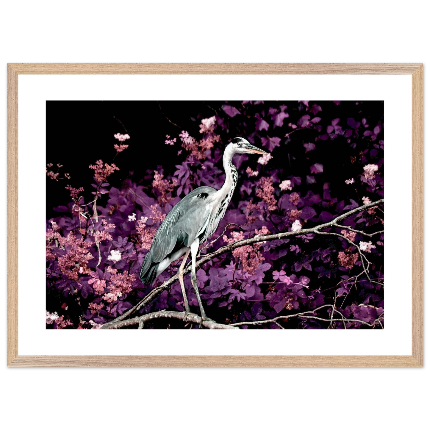 dea51ef8-07f6-44d5-be8e-edf73fb577d8