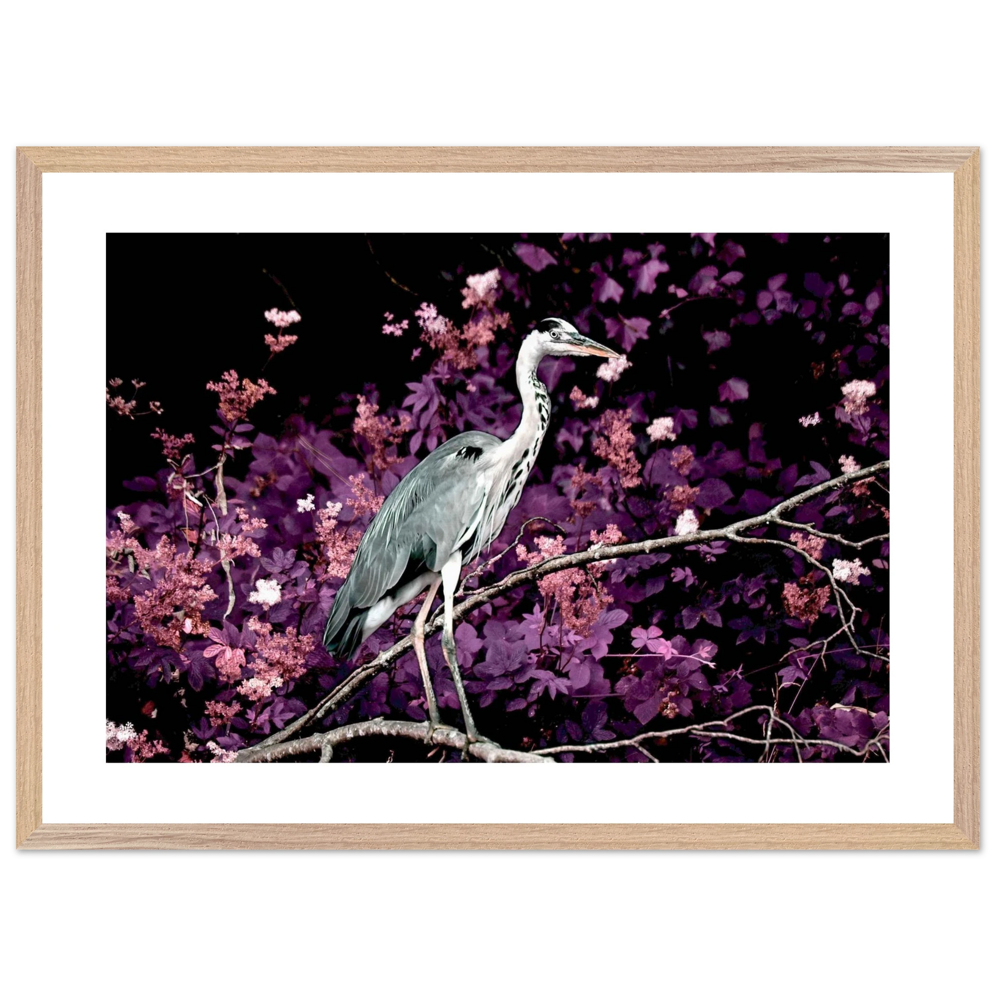 dea51ef8-07f6-44d5-be8e-edf73fb577d8