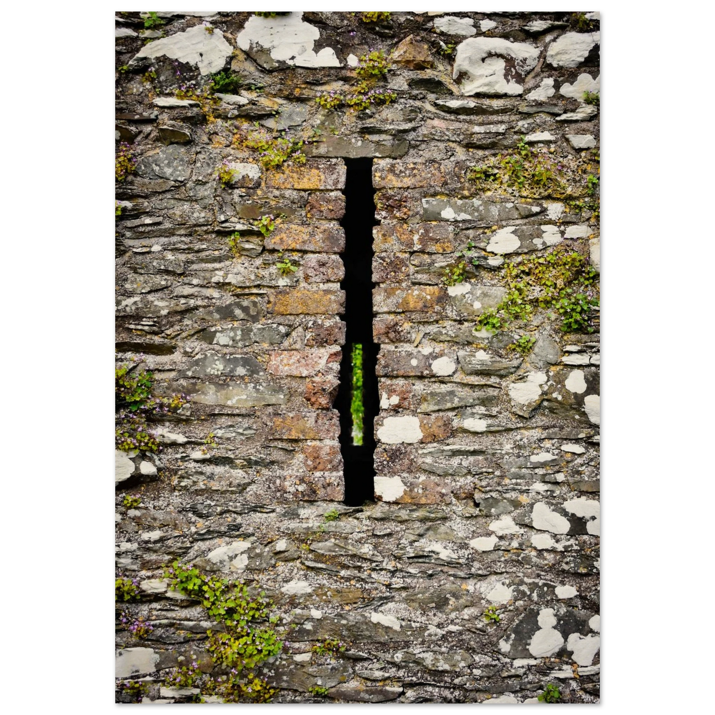 df2de99f-bf18-48fa-90bc-499c6e8c65ce