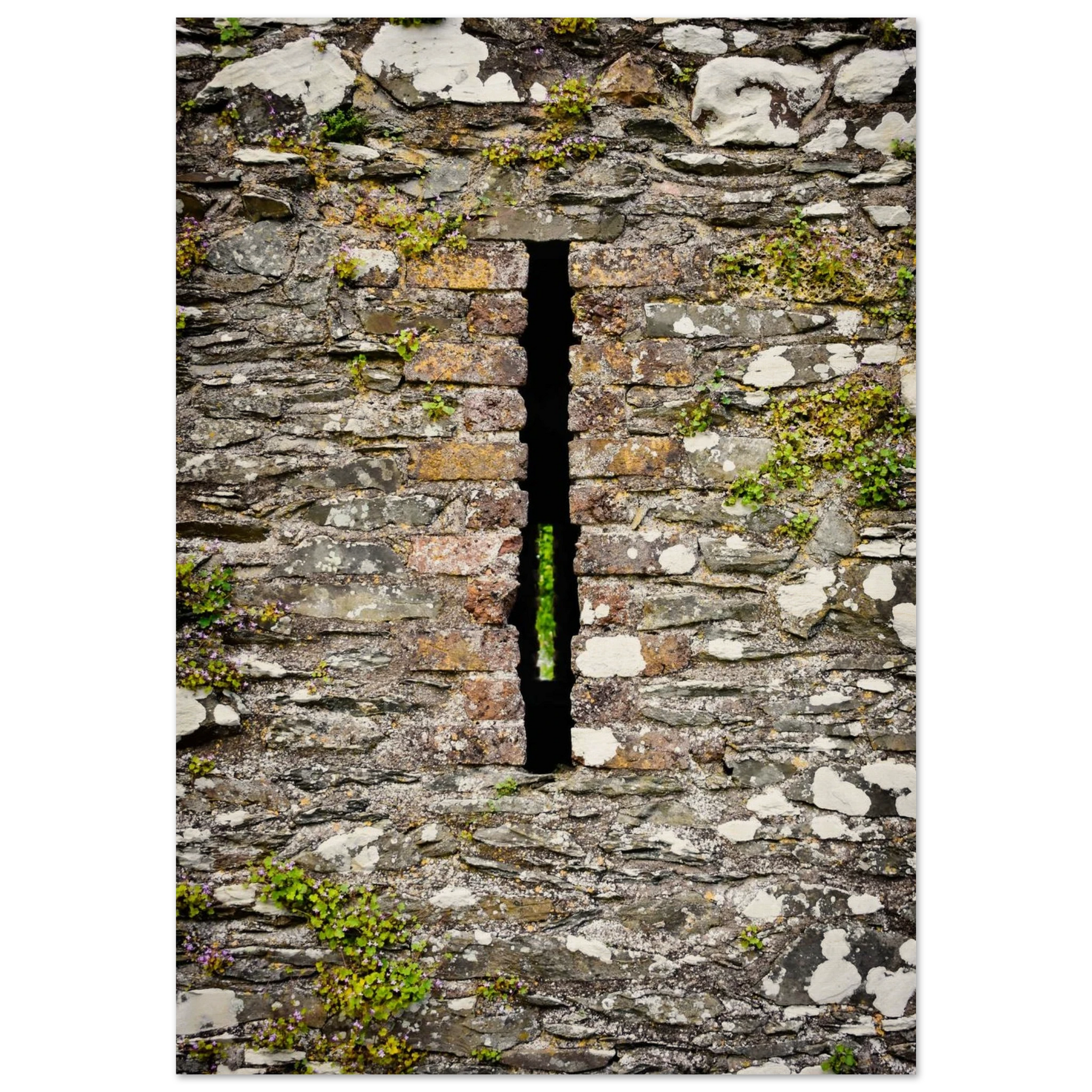 df2de99f-bf18-48fa-90bc-499c6e8c65ce