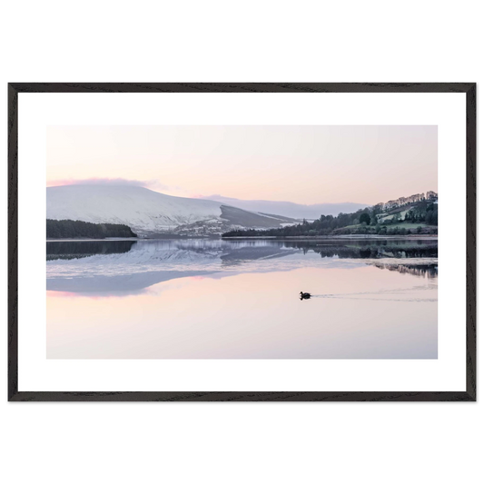 df4b19cc-a508-4d12-81b7-e46948d8fa50